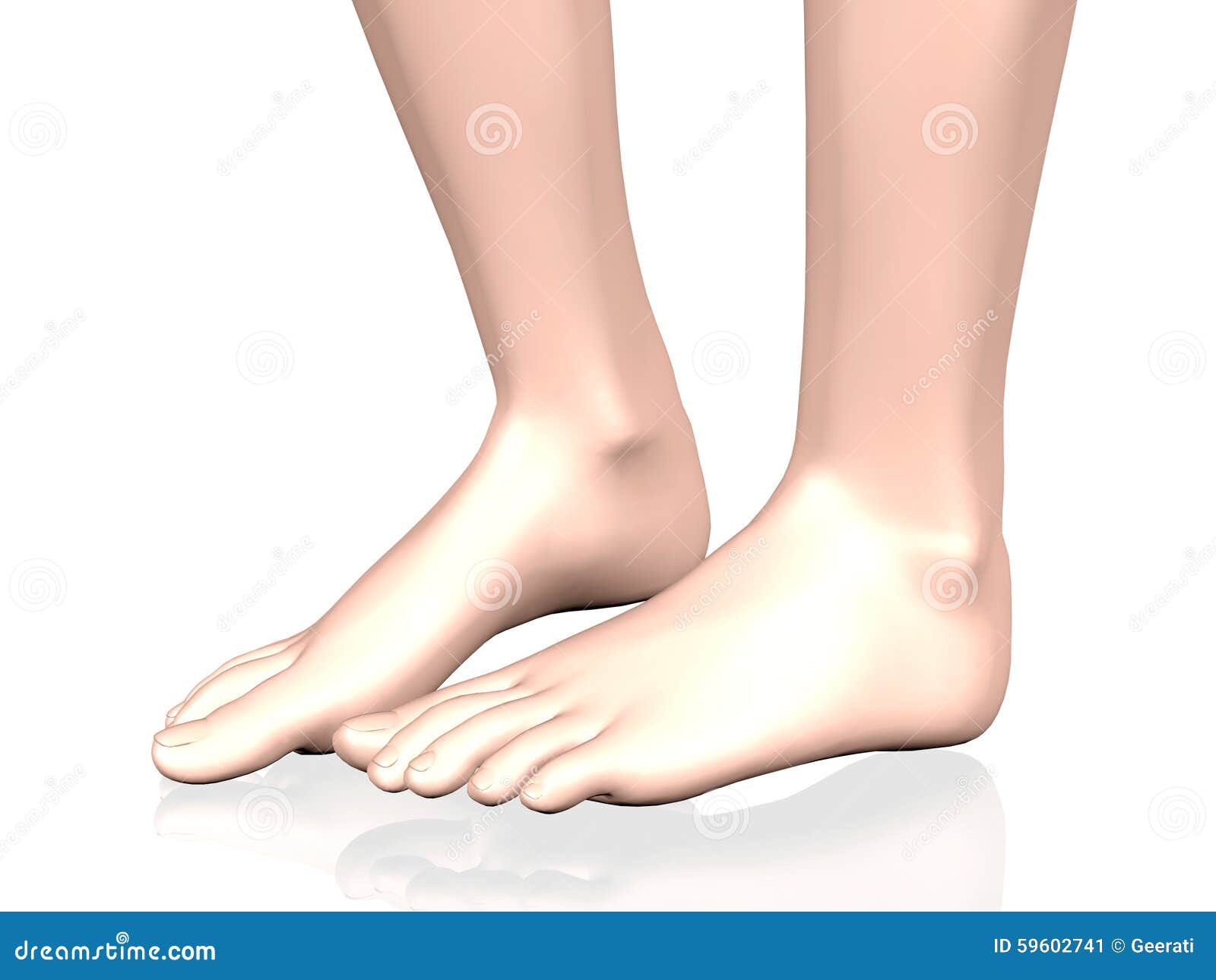 12 Selling Feet Pics Images, Stock Photos, 3D objects, & Vectors