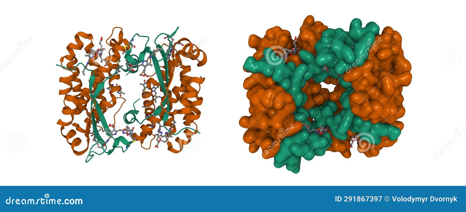 structure of the light harvesting complex pc577 from hemiselmis pacifica.