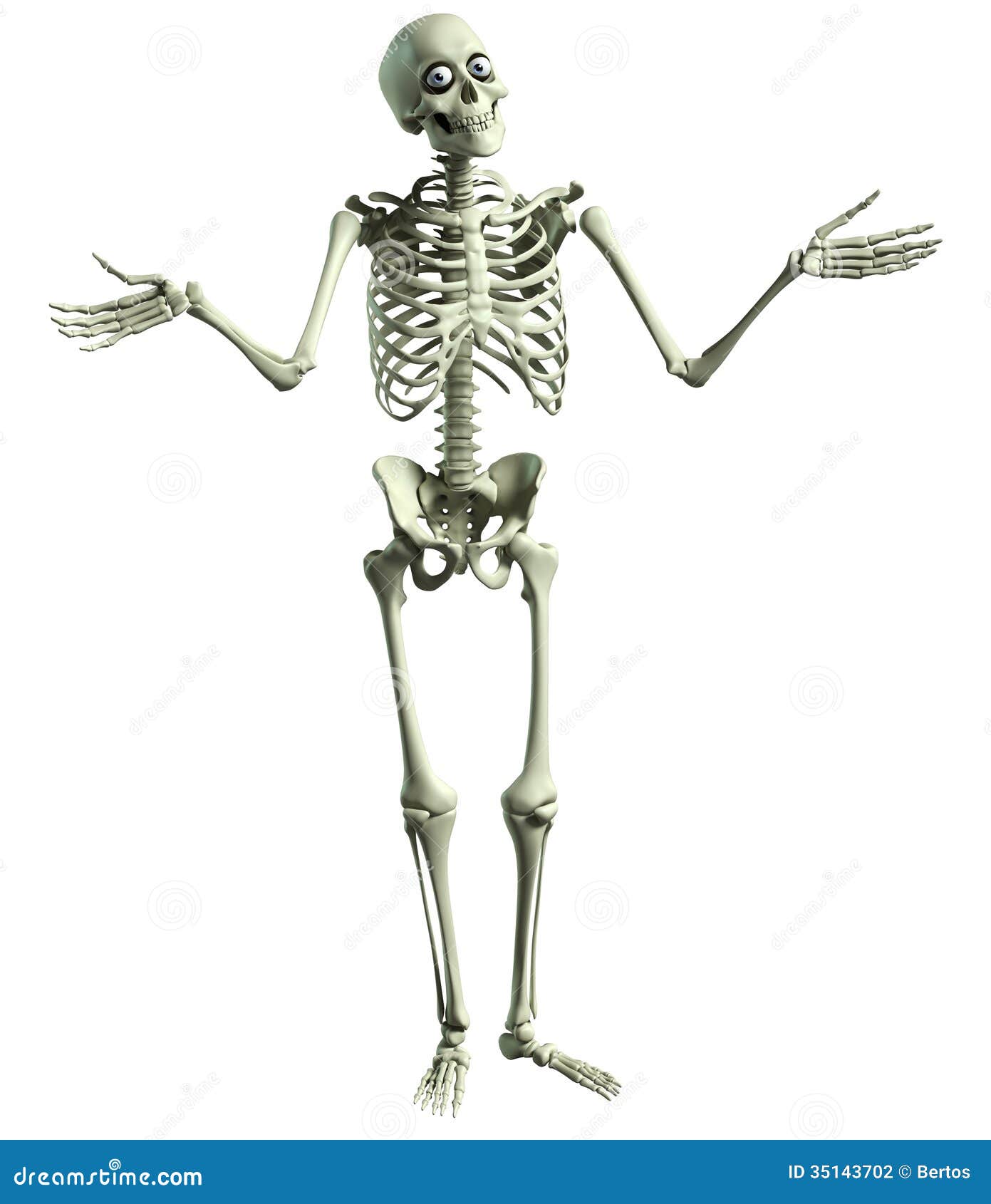 Прямо на скелет. Лежачий скелет. Скелет из мультика. Скелет на прозрачном фоне. Карикатура скелета человека.