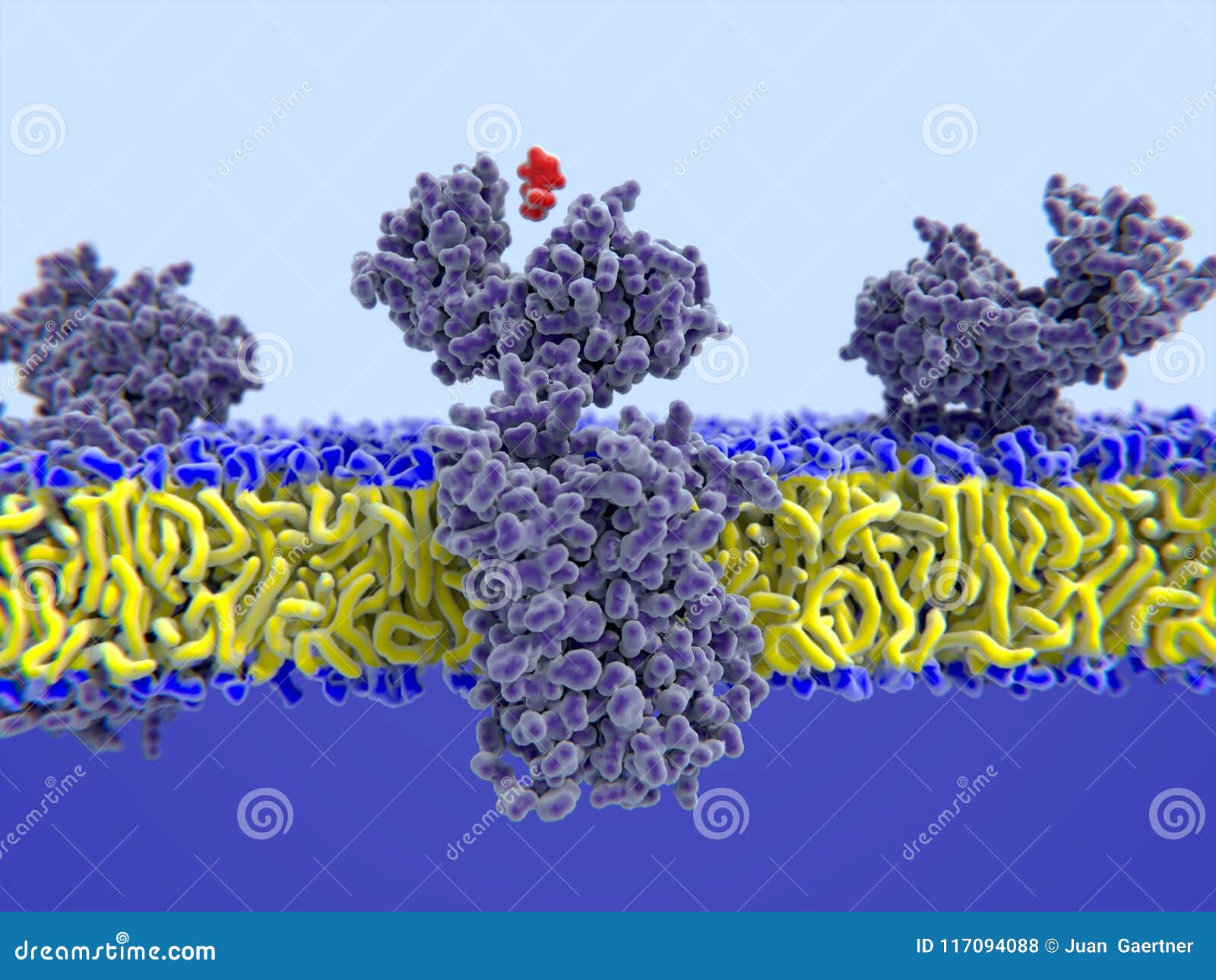 Histamine Molecule. It Is Amine, Nitrogenous Compound, Stimulant Of