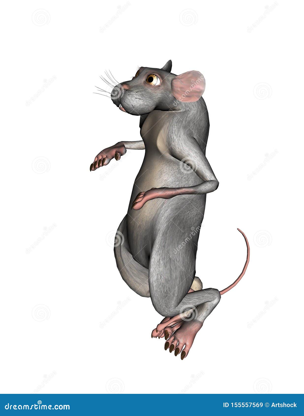 245,807 Rat Images, Stock Photos, 3D objects, & Vectors