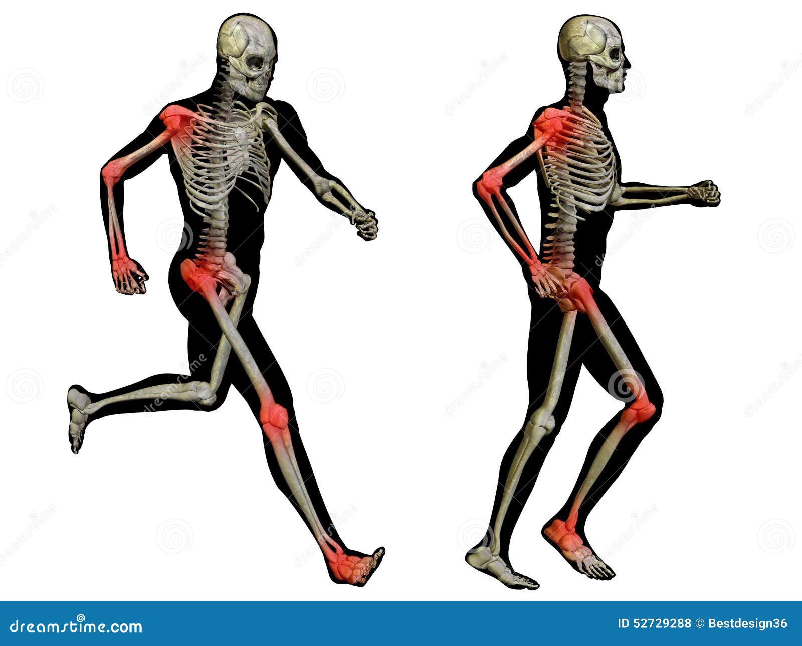 3D human man pain anatomy isolated. Conceptual 3D human man anatomy joint pain body isolated