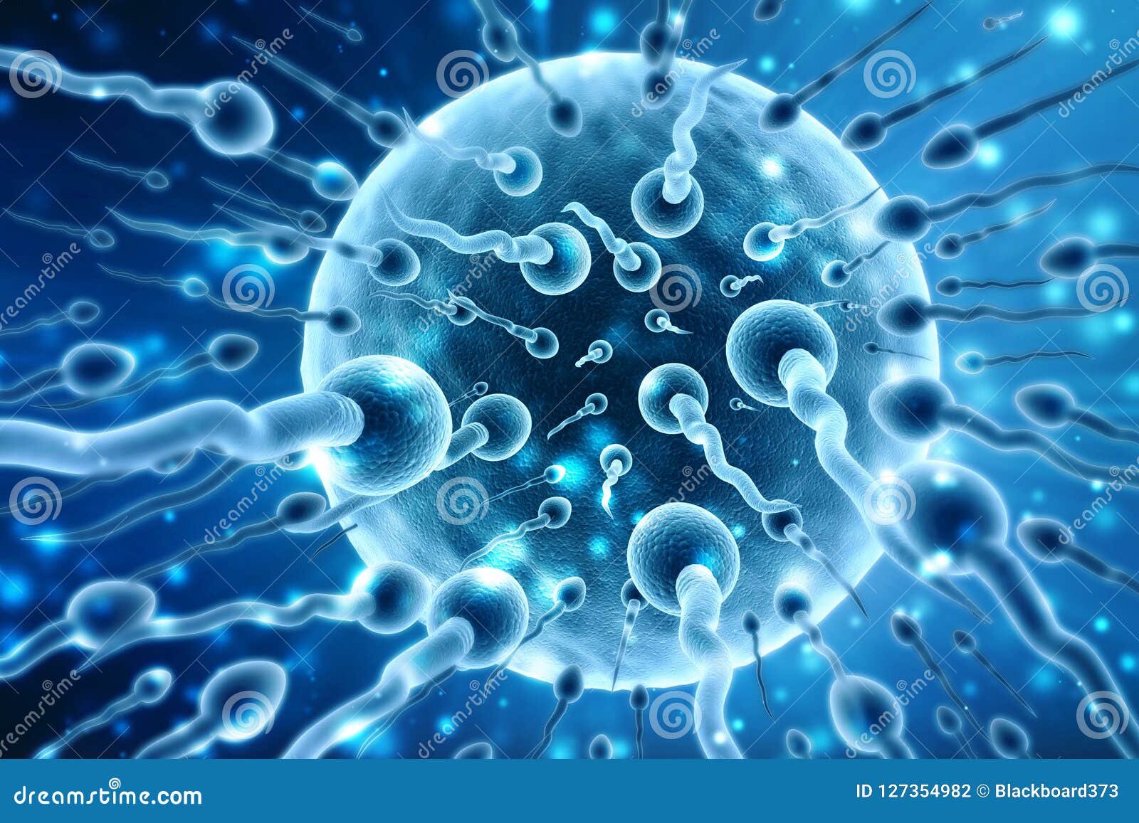 d-human-sperm-egg-cell-medical-background-human-sperm-cell-medical-abstract-background-sperm-egg-medical-127354982.jpg