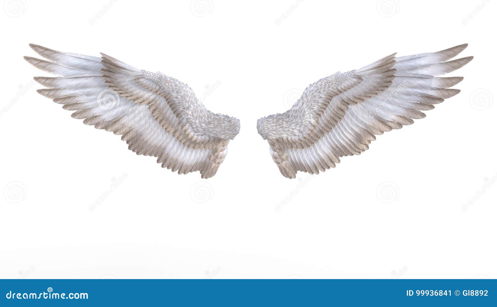 Angel wings stock illustration. Illustration of bird - 99936841 Angel wings stock illustration. Illustration of bird - 99936841