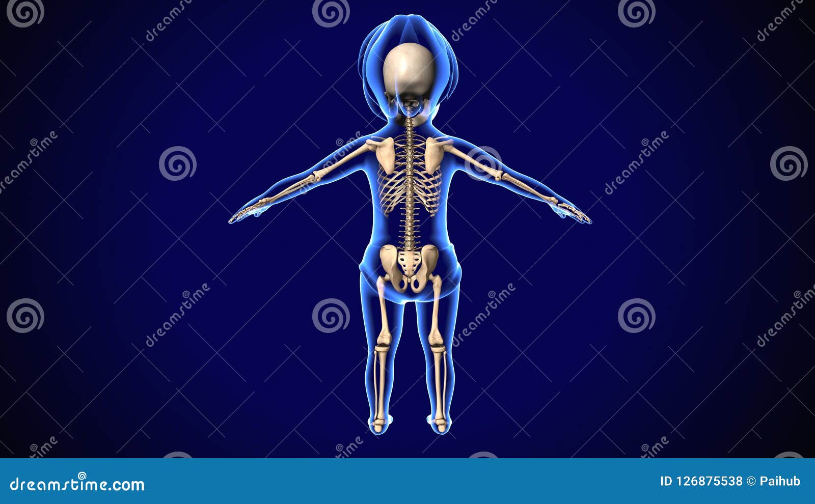 How Many Bones Does A Human Baby Have At Birth - Baby Viewer
