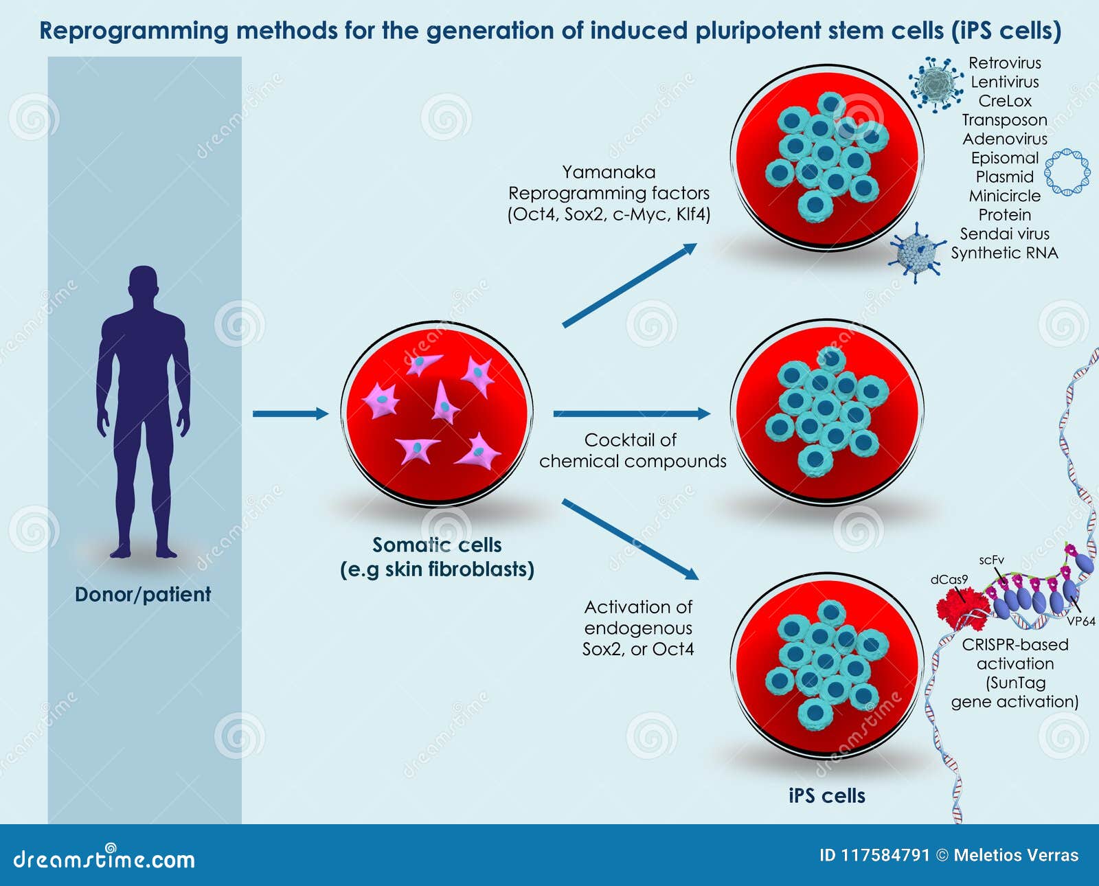 methods for generation of induced pluripotent stem cells