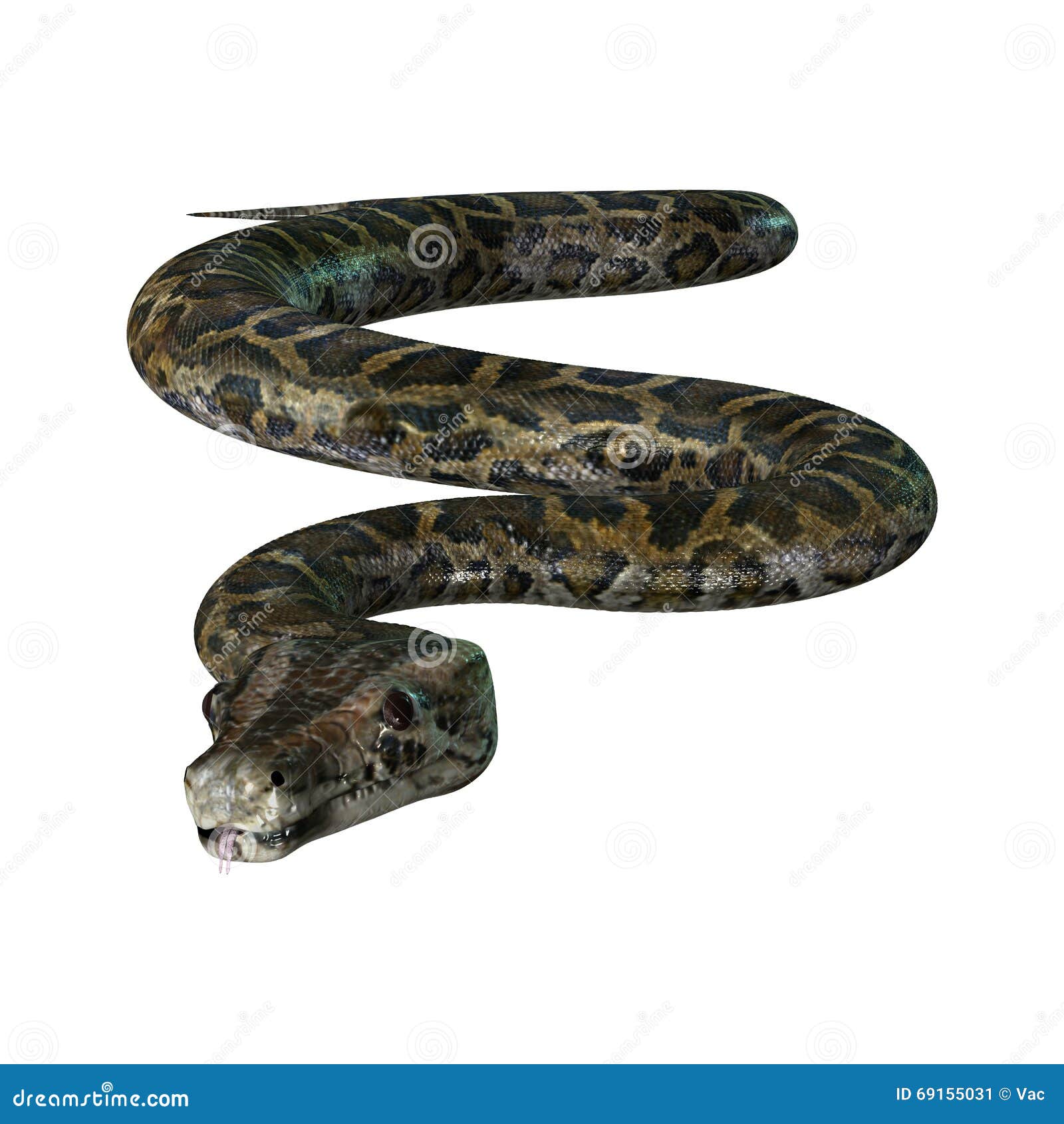 Anaconda 3d hi-res stock photography and images - Alamy