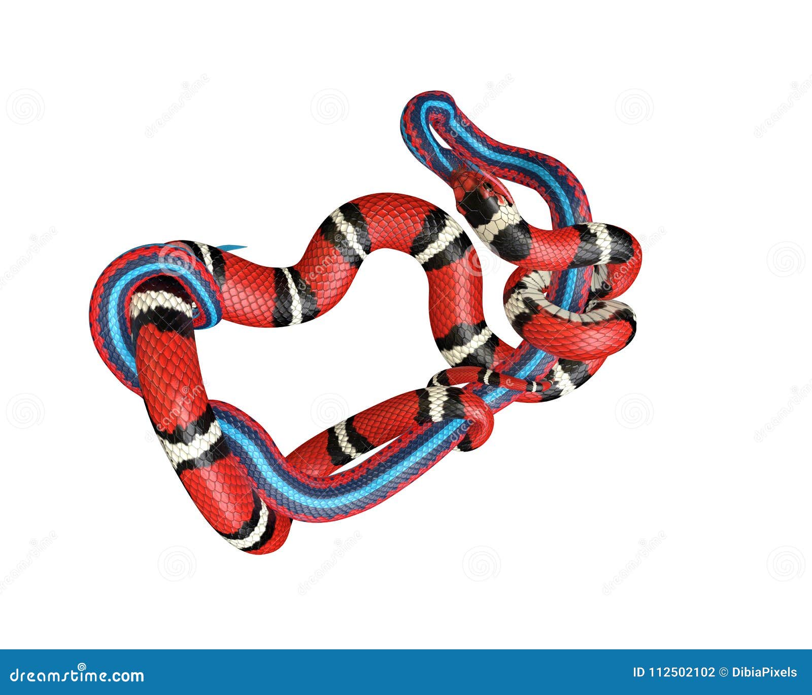 3D Illustration of a California King Snake Swallowing a Blue Red Snake