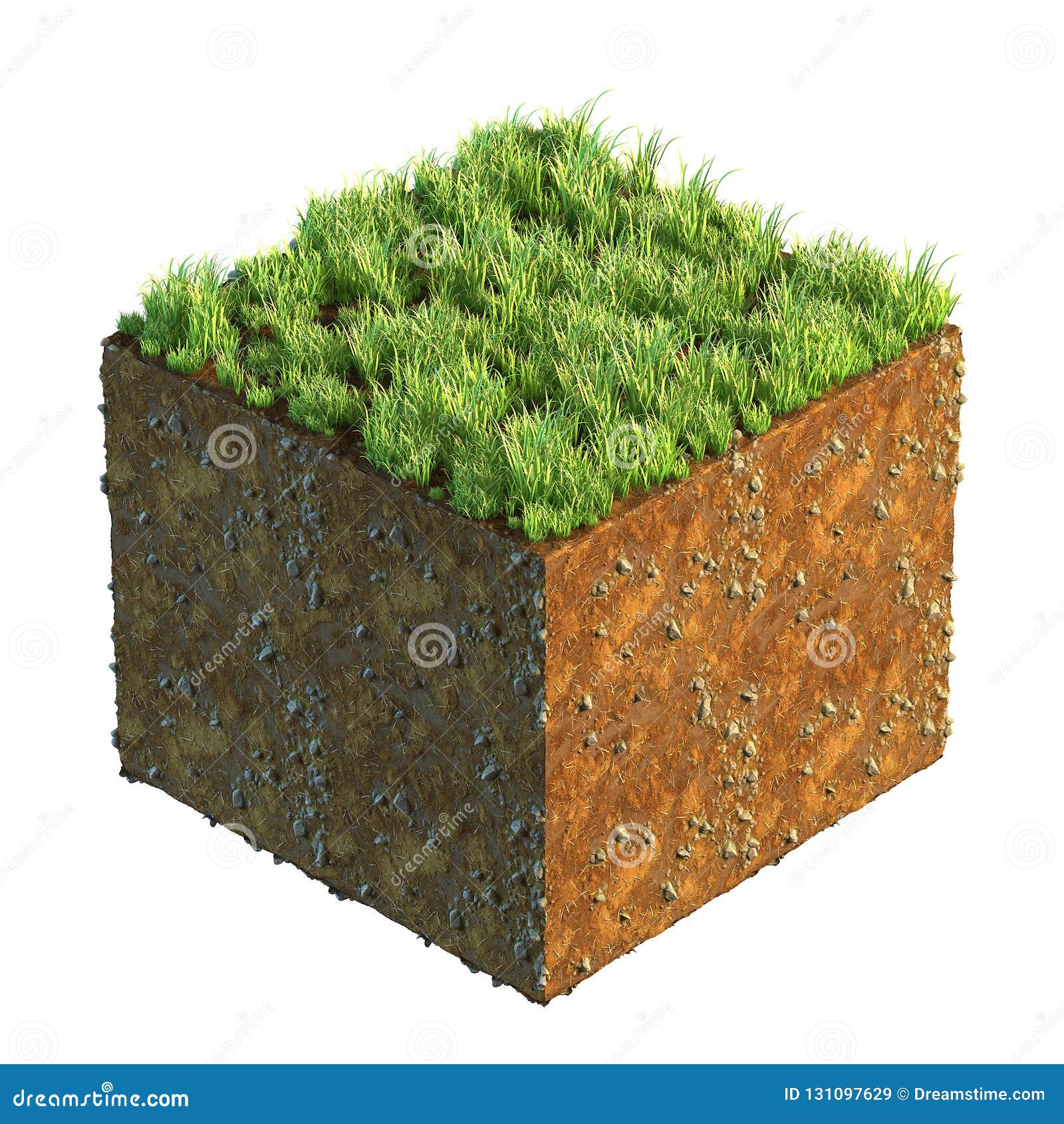 3d Illustration of Cross Section of Ground with Grass Isolated on White