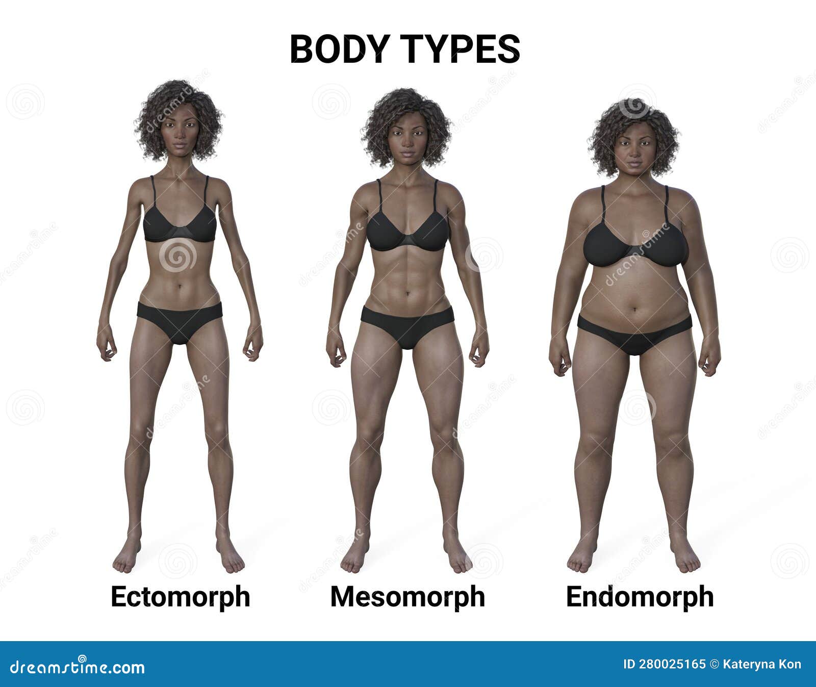 A 3D Illustration of a Female Body Showcasing Three Different Body Types -  Ectomorph, Mesomorph, and Endomorph Stock Illustration - Illustration of  exercise, nutrition: 280025165