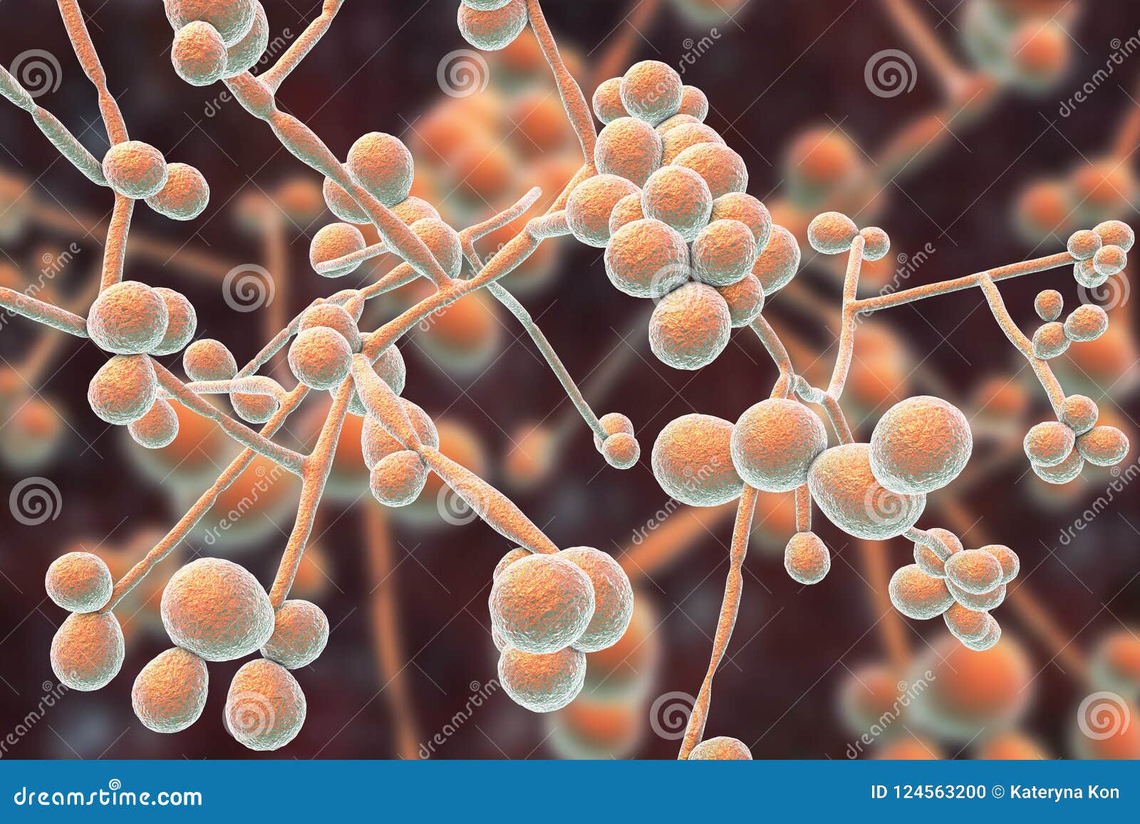 Fungi Candida Which Cause Candidiasis Thrush Stock Illustration