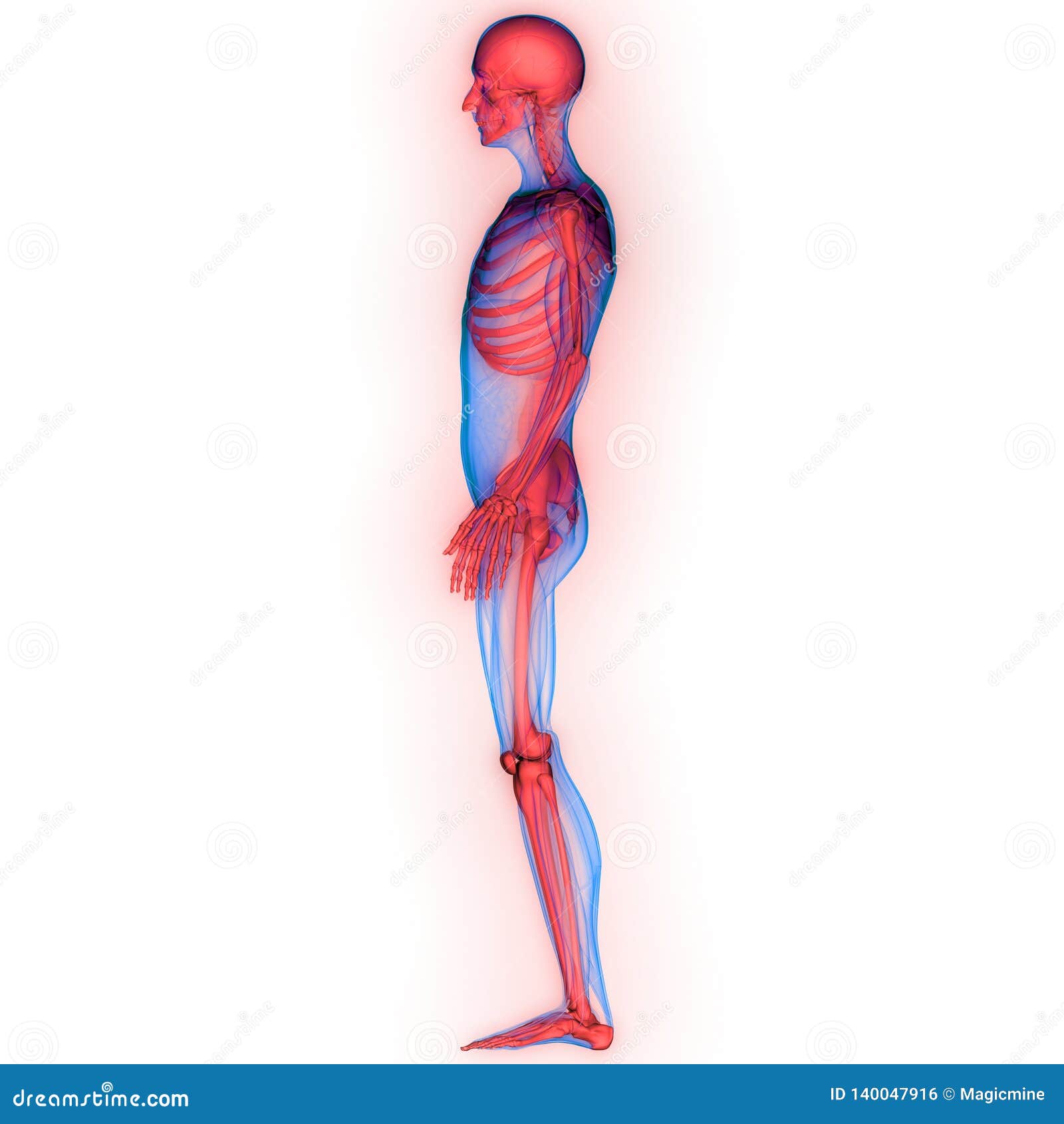 My Image 30