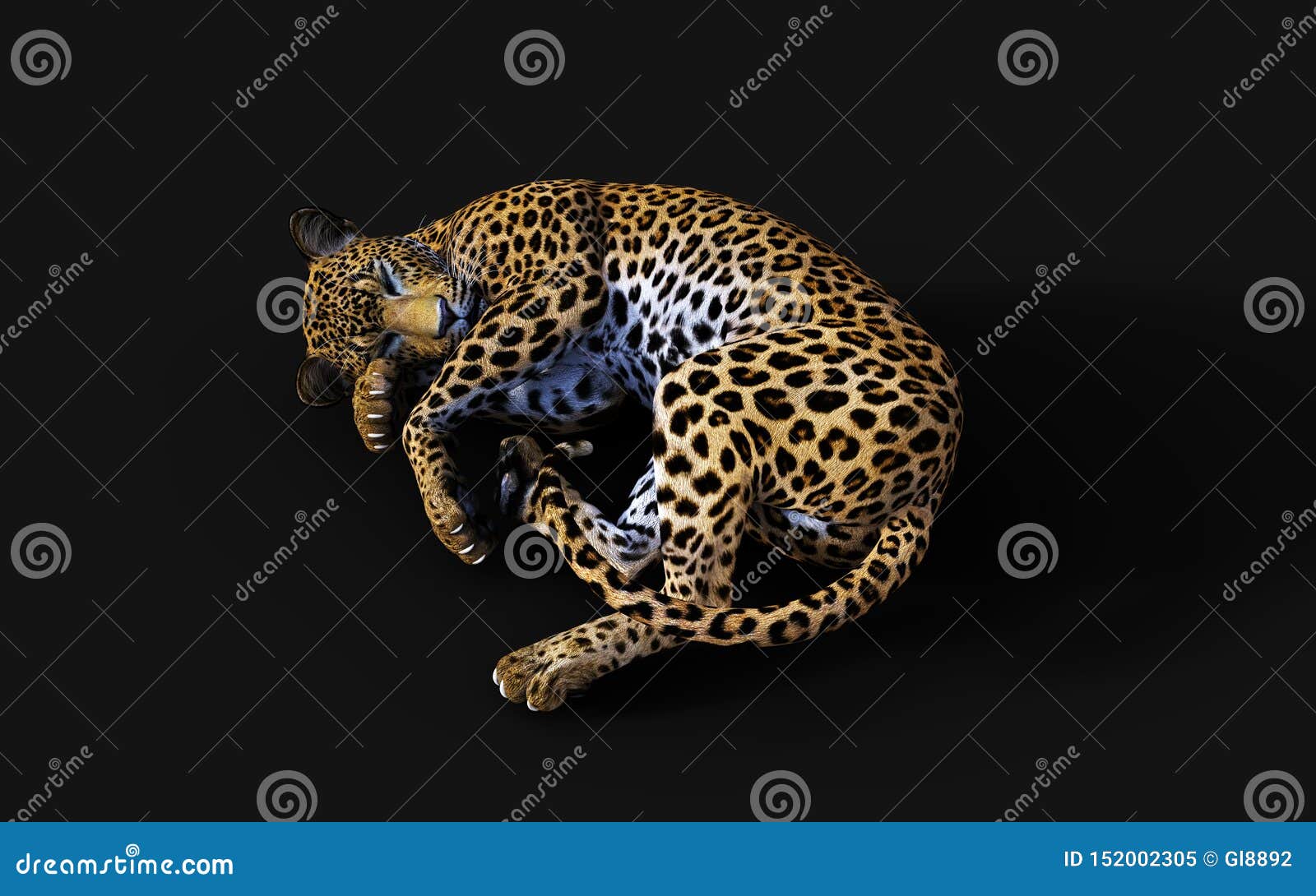 3d Illustration Leopard, Panthera Pardus, Tiger Stock Illustration -  Illustration of jungles, african: 152002305