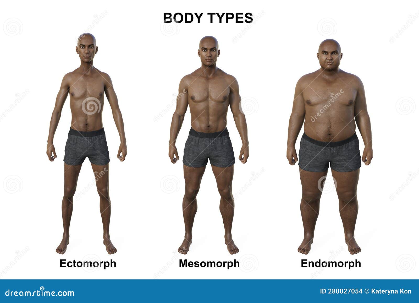 A 3D Illustration of a Male Body Showcasing Three Different Body Types