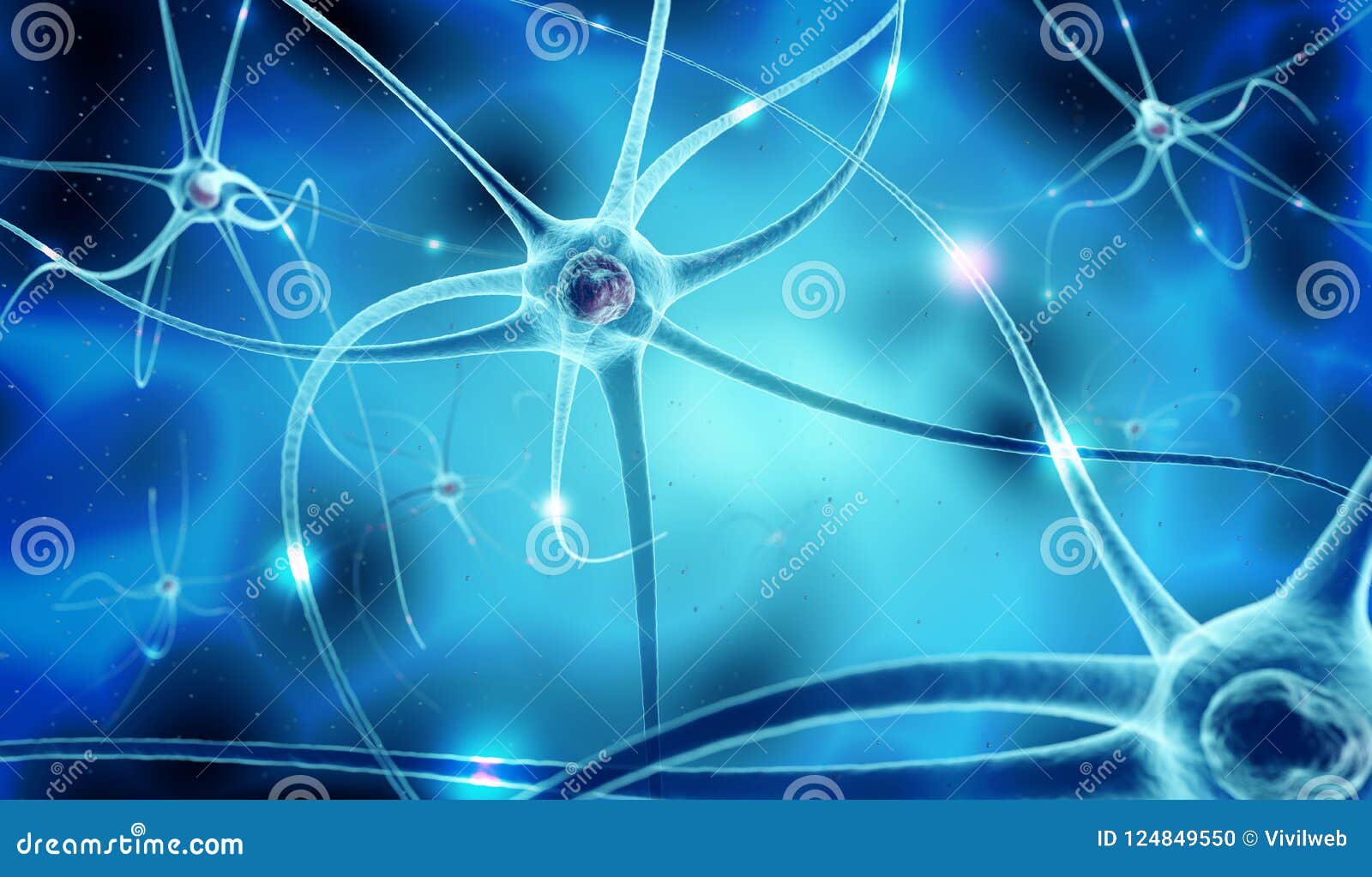  of nervous network and nerve cells