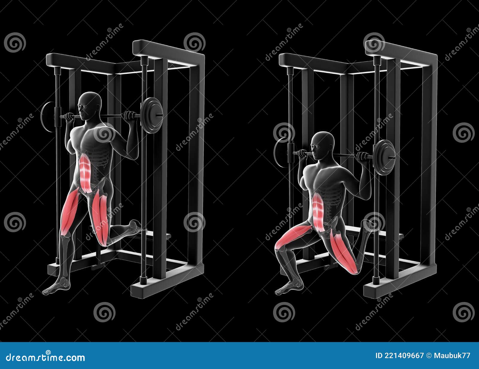 3d Illustration of Bulgarian Split Squat at the Multipower Stock  Illustration - Illustration of quadriceps, background: 221409667