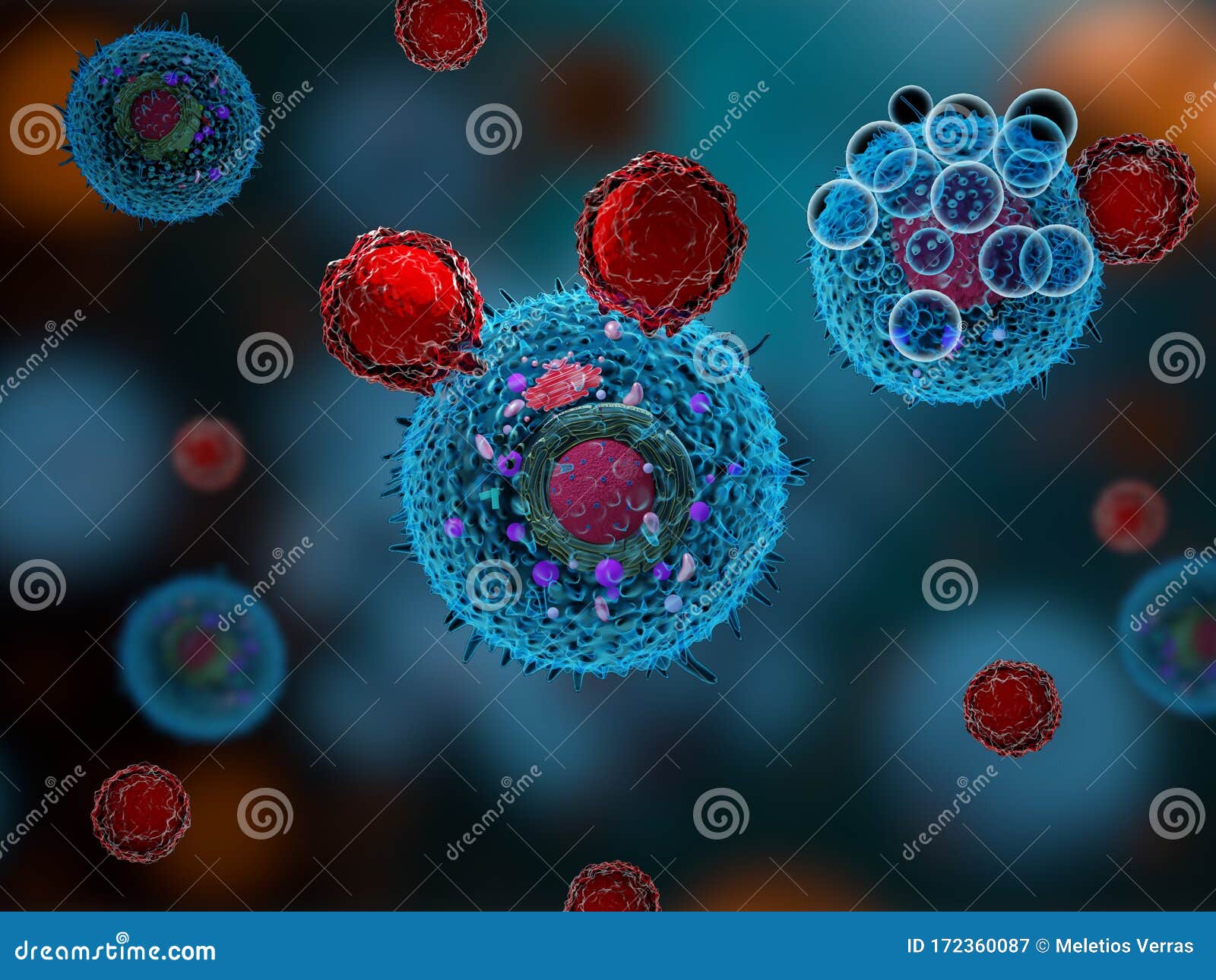 t cells attacking cancer cells