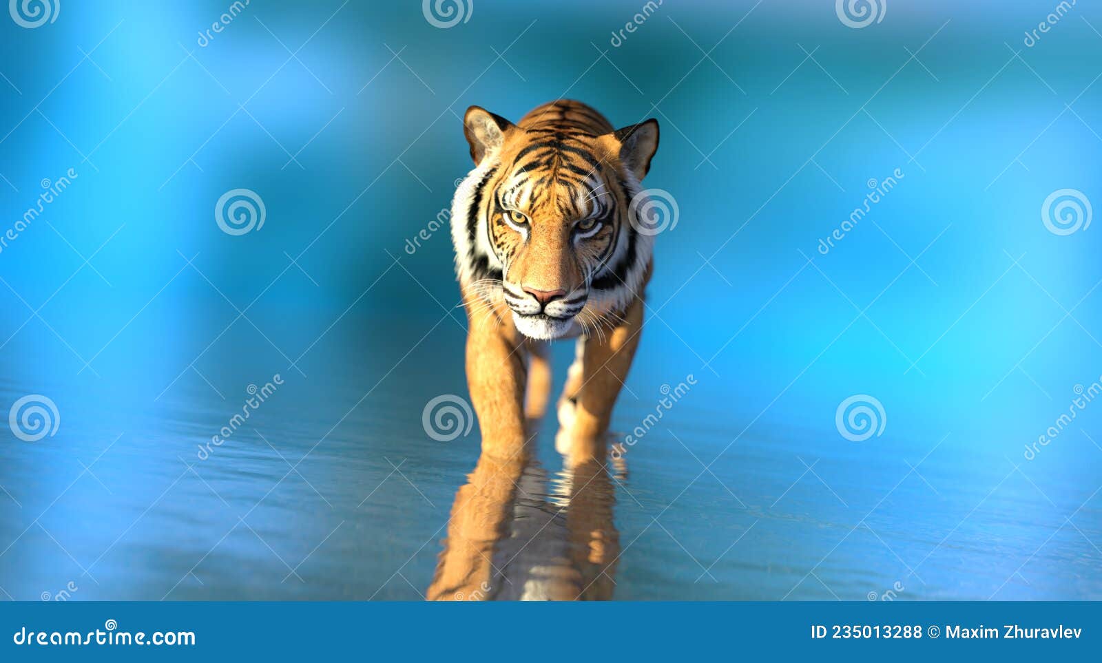 Tiger in Water on Blue Background 3d Illustration Stock ...