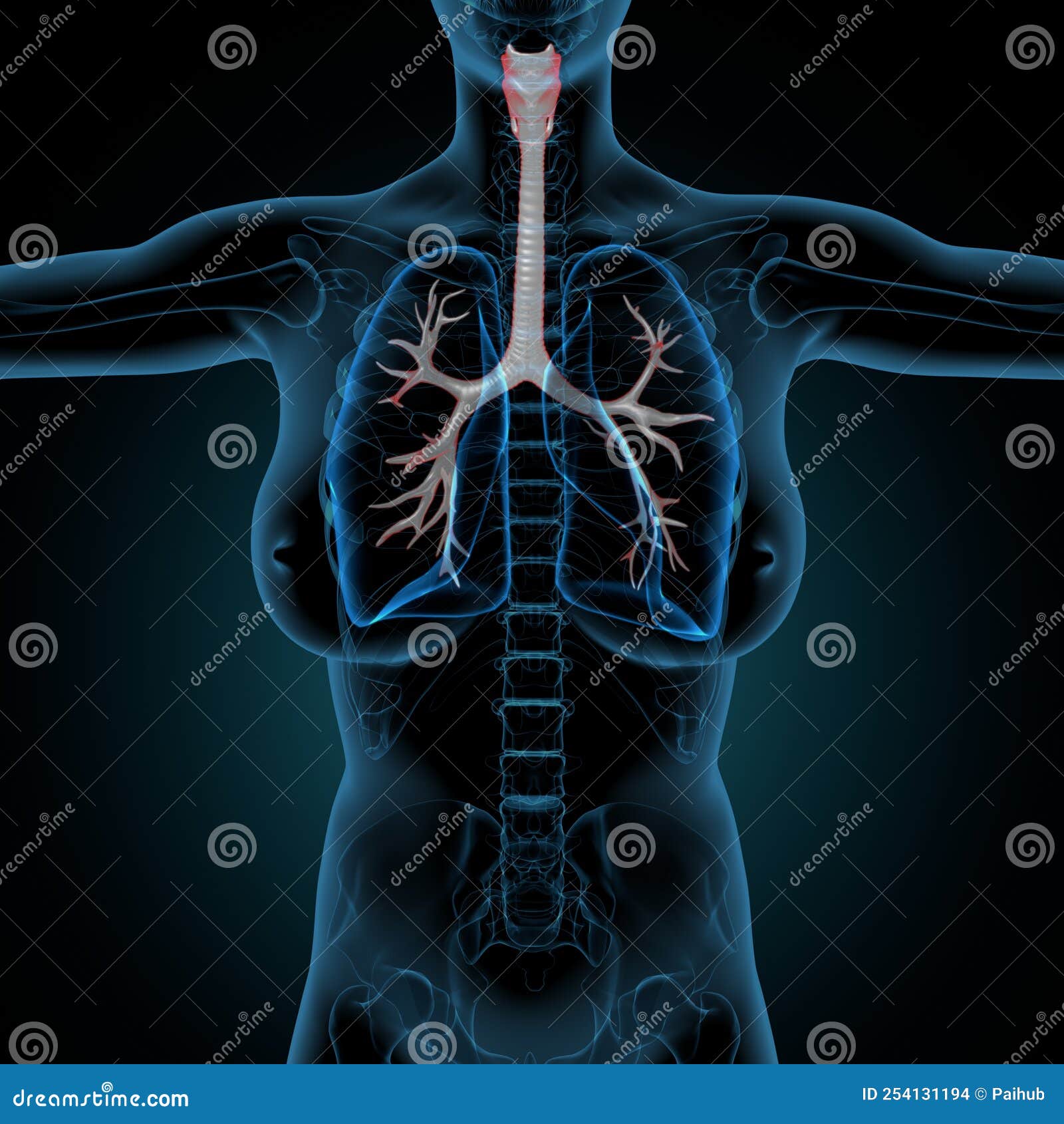 Anatomia de um sistema de inteligência artificial 