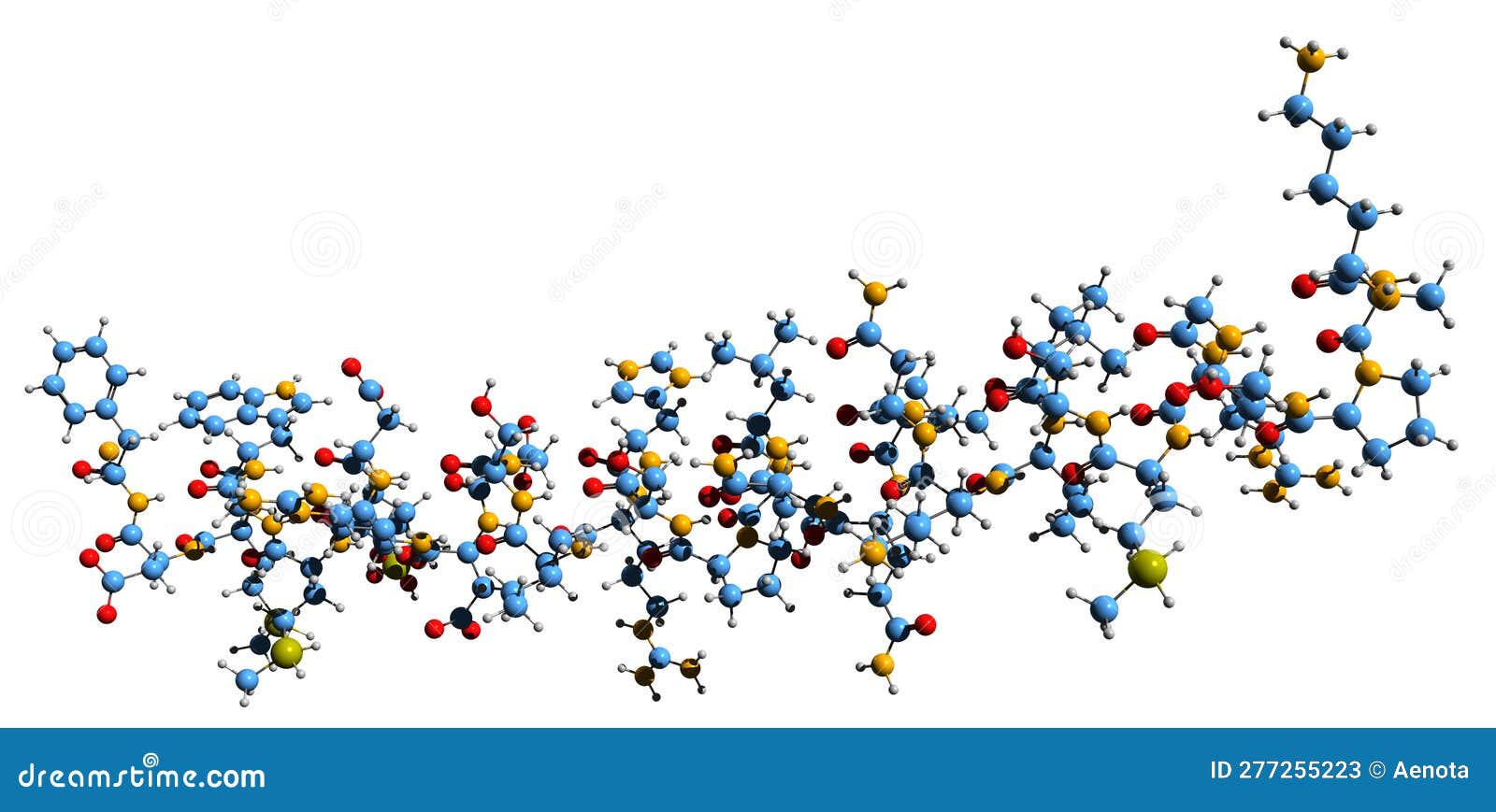 3d image of cholecystokinin skeletal formula