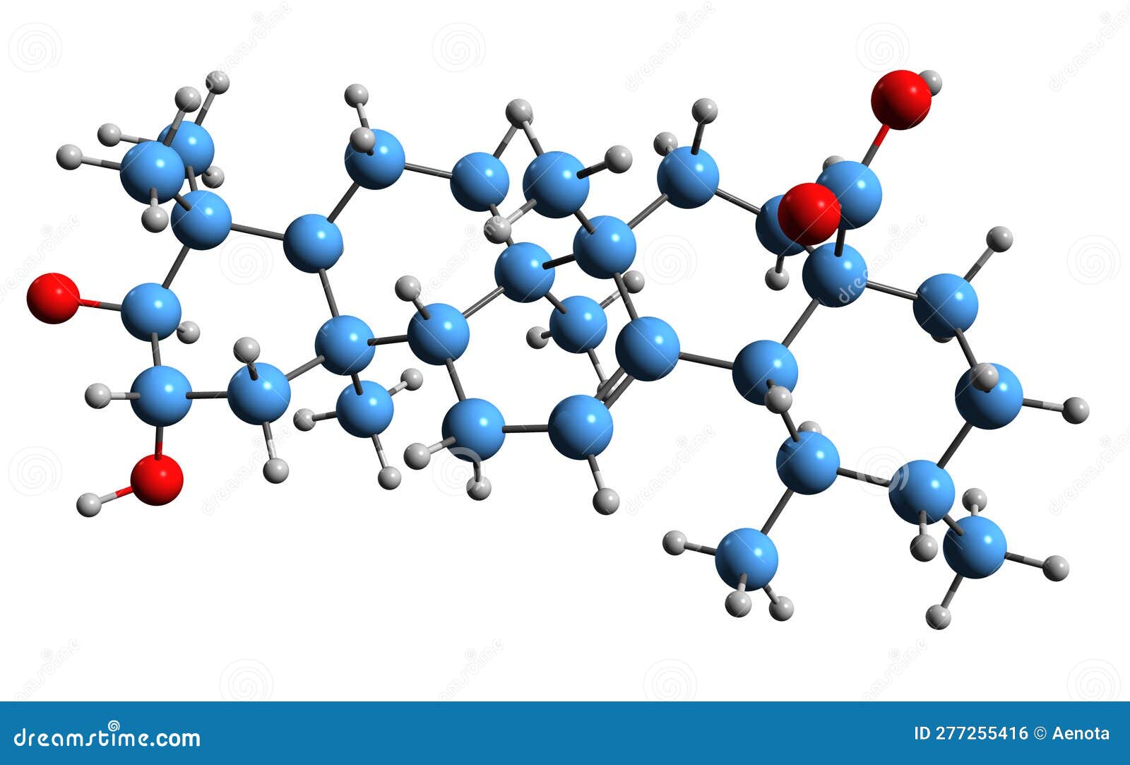 3d image of corosolic acid skeletal formula