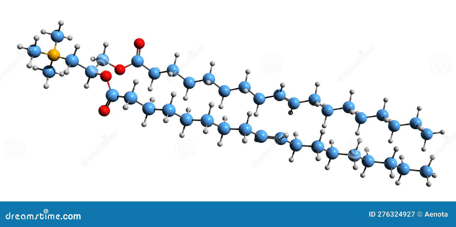 3d image of dioleoyl-3-trimethylammonium propane skeletal formula