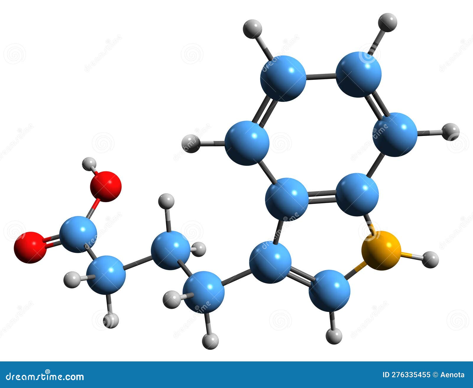 3d image of indole-3-butyric acid skeletal formula