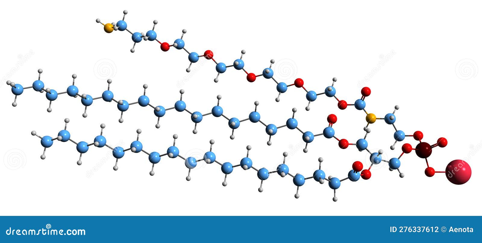 3d image of phospholipid-peg-nh2 skeletal formula