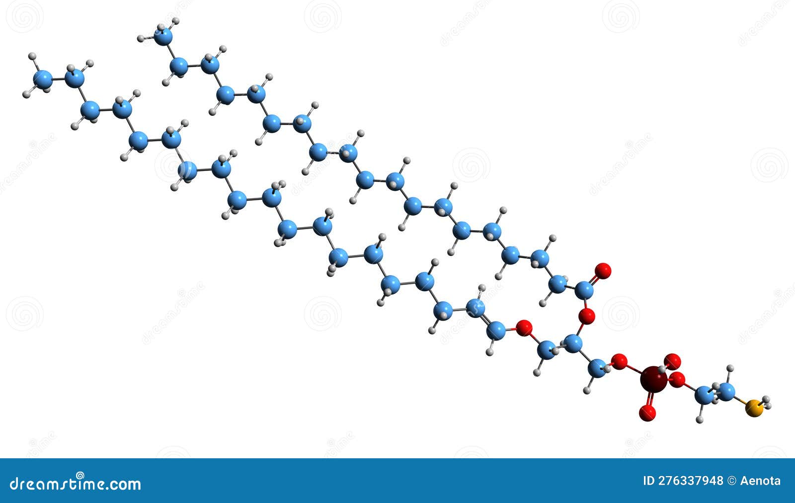 3d image of plasmalogen skeletal formula