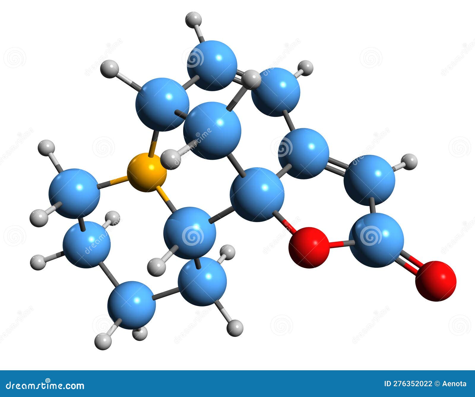3d image of securinine skeletal formula