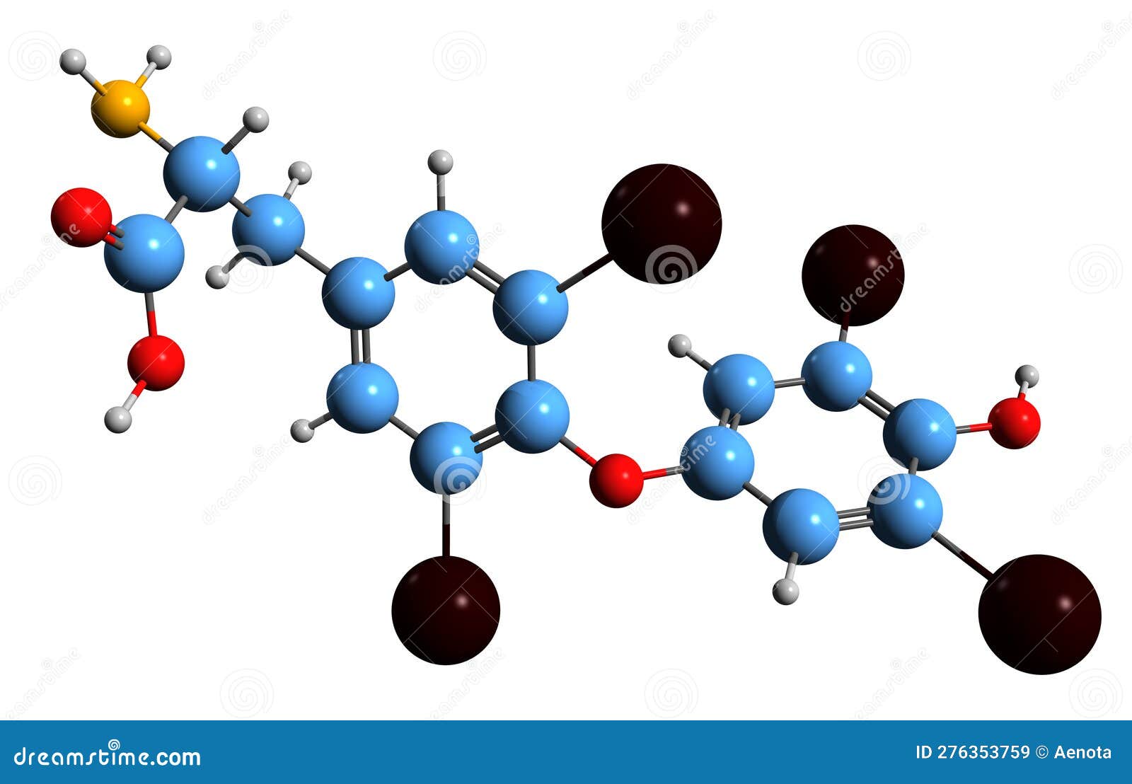 3d image of thyroxine skeletal formula