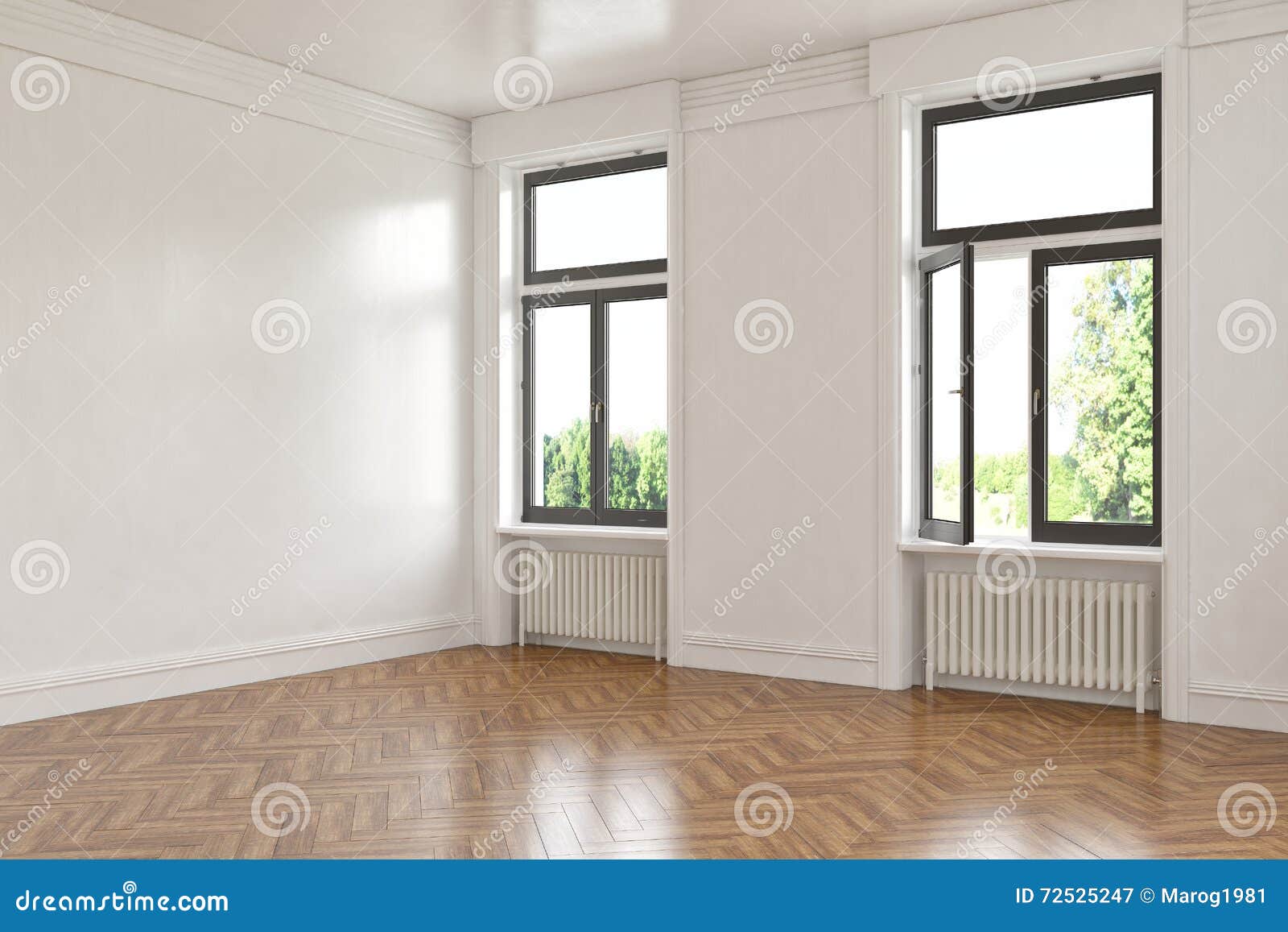 3d - leerer Raum - Wohnung. 3d übertragen von einer gesäuberten alten buliding Wohnung - Innenkonzept