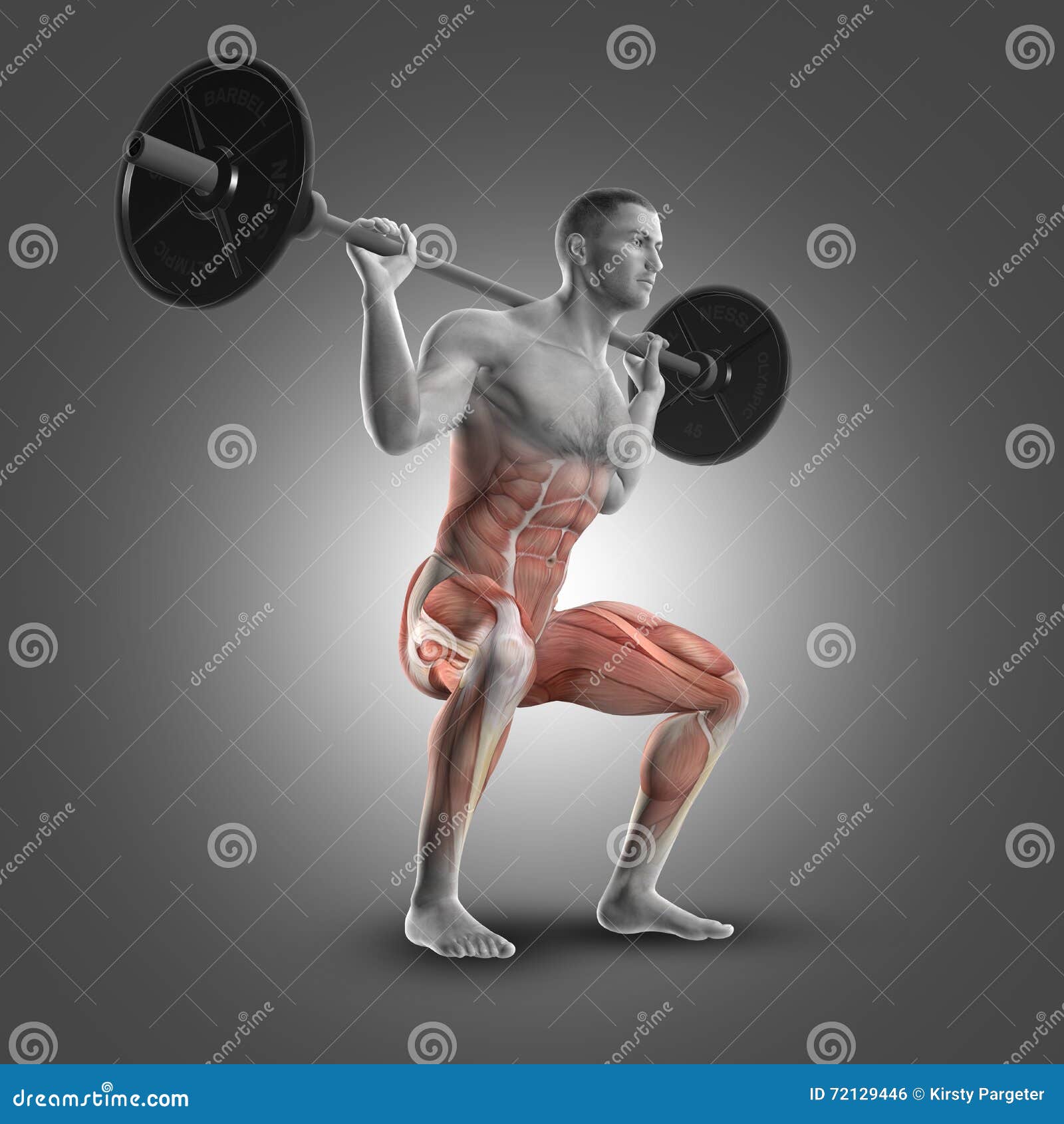 Barbell Squat Stock Illustrations – 1,479 Barbell Squat Stock