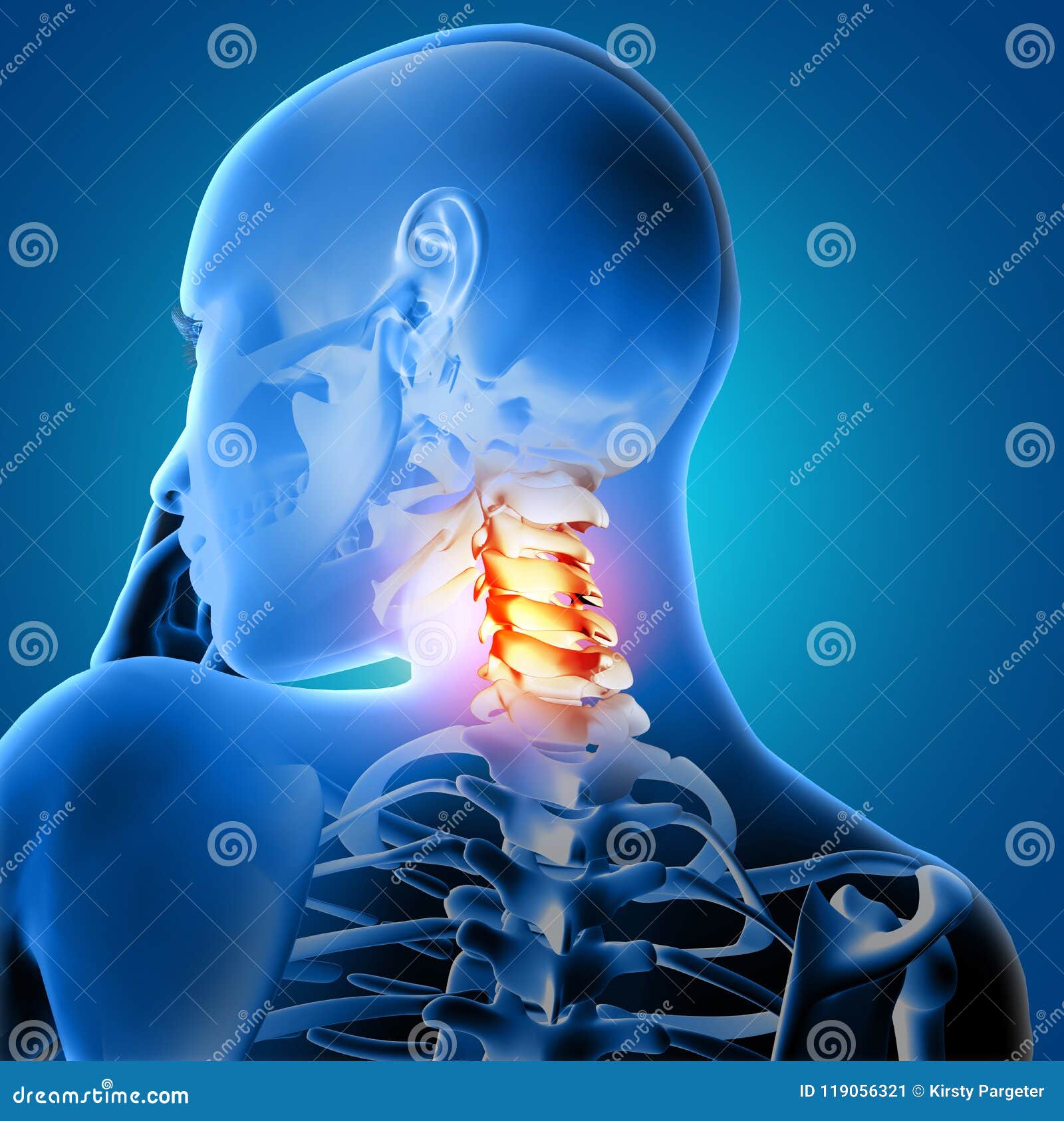 3D Medical Female with Neck Bones Highlighted Stock Illustration
