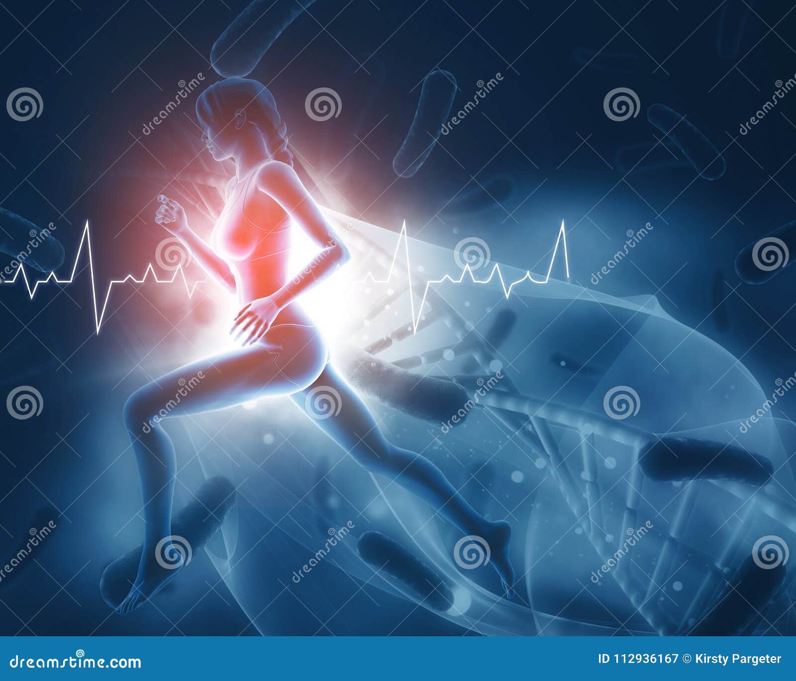 3D Medical Figure with Female Running and Heart Rate Stock Illustration Illustration of