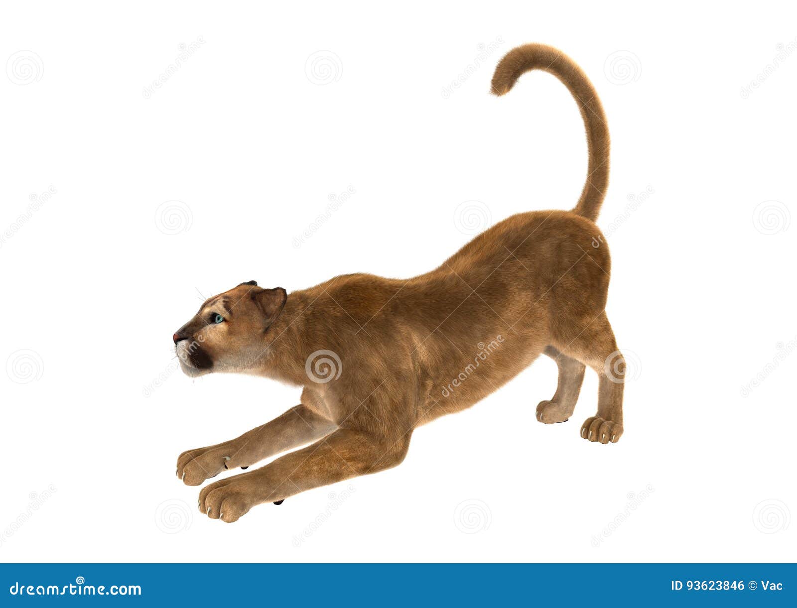 Sudamerica Loco girar 3D Que Rinde A Cat Puma Grande En Blanco Foto de archivo - Imagen de puma, grande: 93623846 Sudamerica Loco girar 3D Que Rinde A Cat Puma Grande En Blanco Foto de archivo - Imagen de puma, grande: 93623846