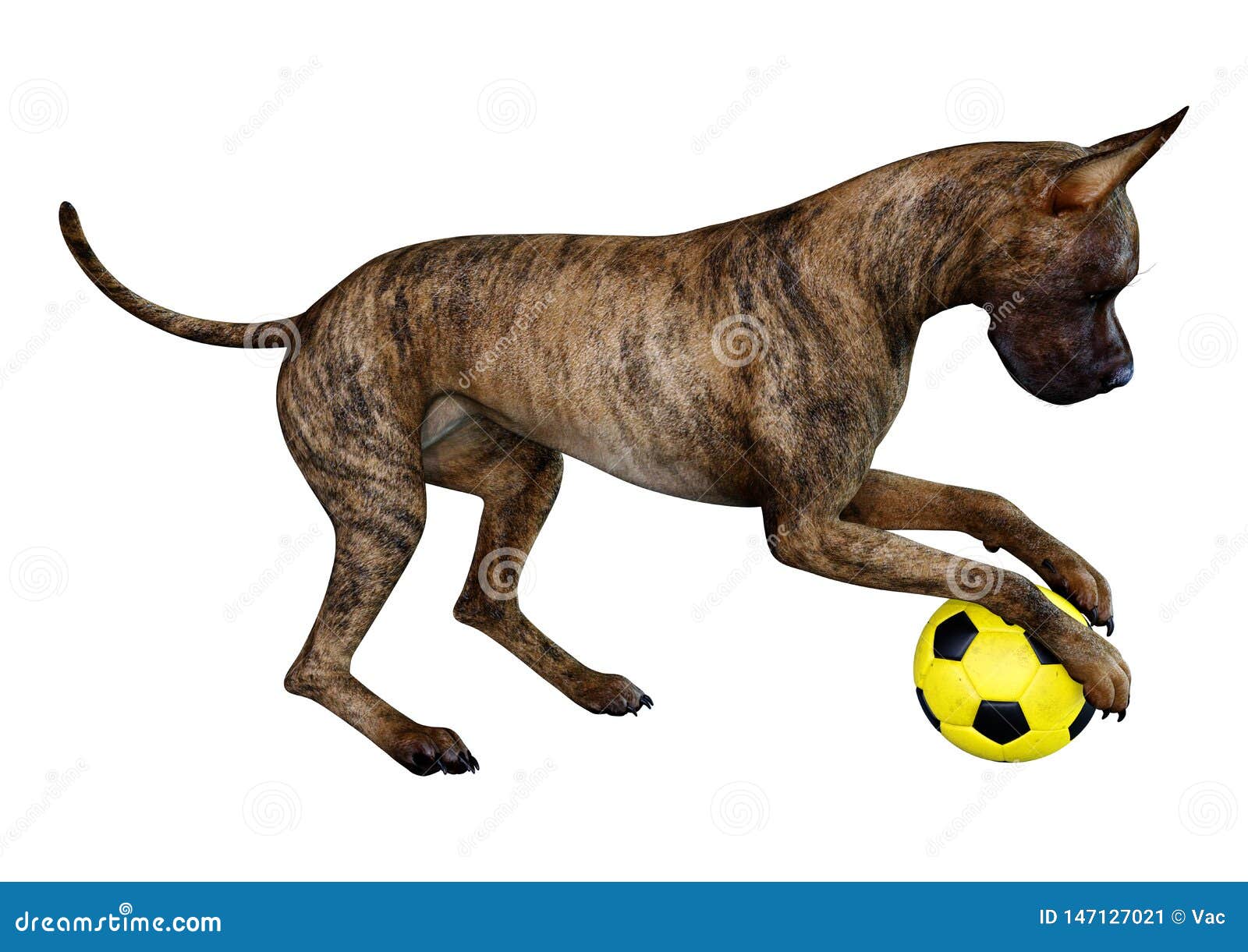 anal knot bestiality great dane anal knot bestiality great dane