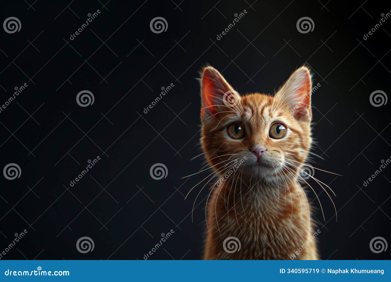 a 3d realistic portrait of a ginger kitten against a dark background, with expressive eyes and detailed fur