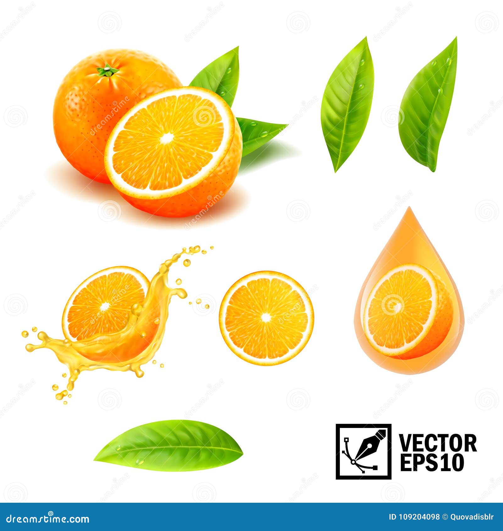 3d realistic  set of s whole orange, sliced orange, splash orange juice, drop orange oil, leaves