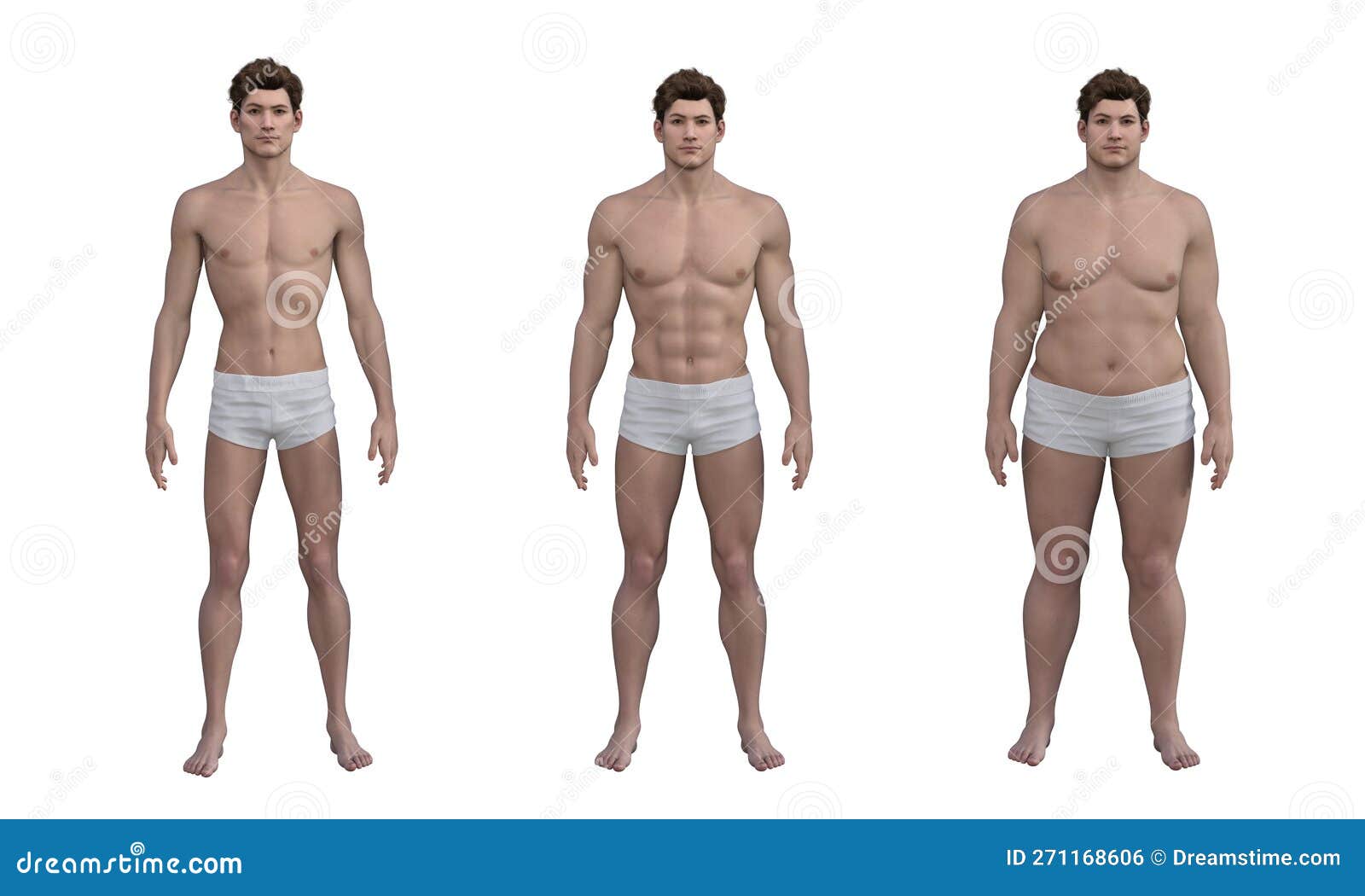 3D Render : the Diversity of Male Body Shape Including Ectomorph,  Mesomorph, Endomorph Stock Photo - Illustration of shape, weight: 271168606