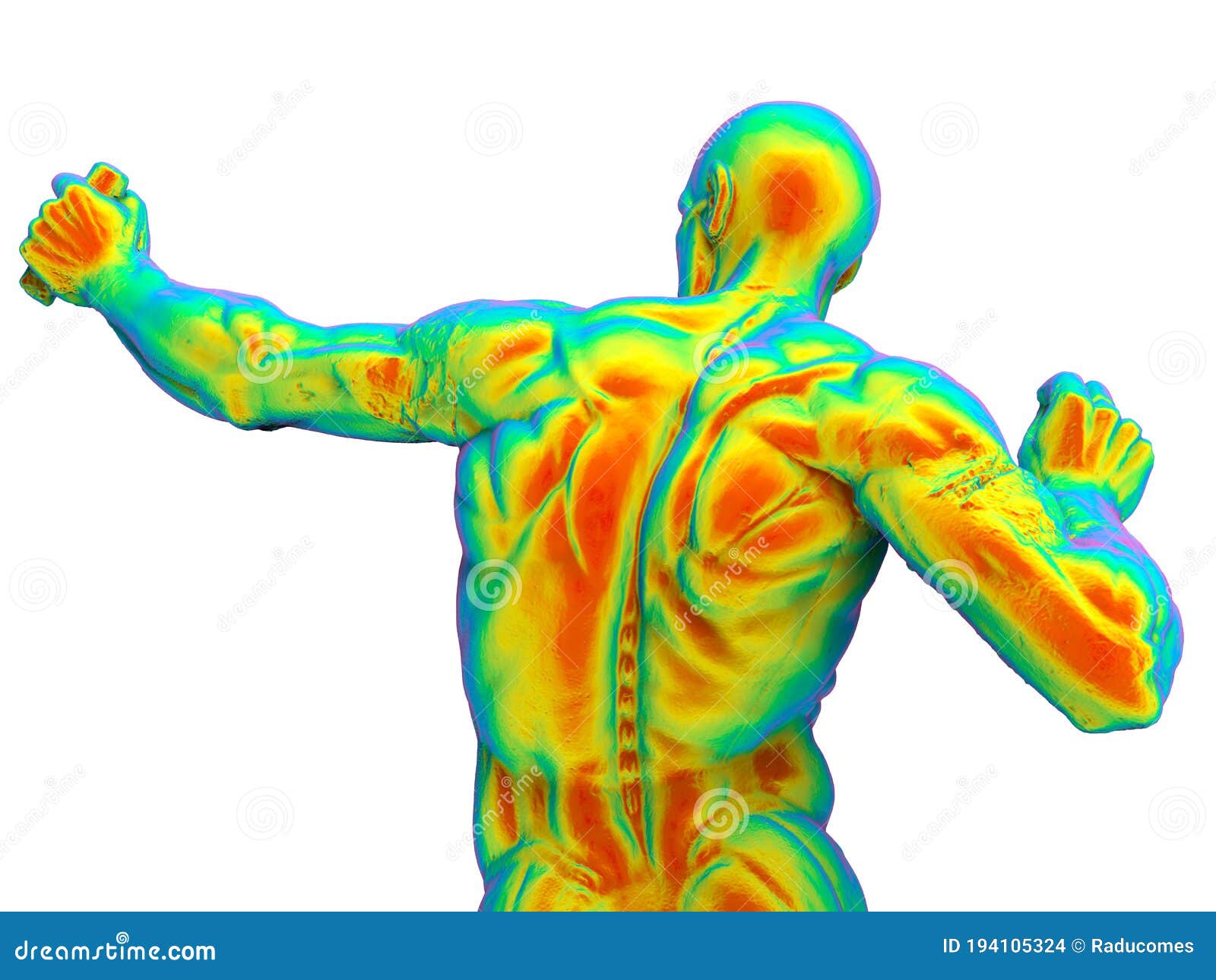 3D Rendering Rainbow Colored Human Body Back Muscles Stock