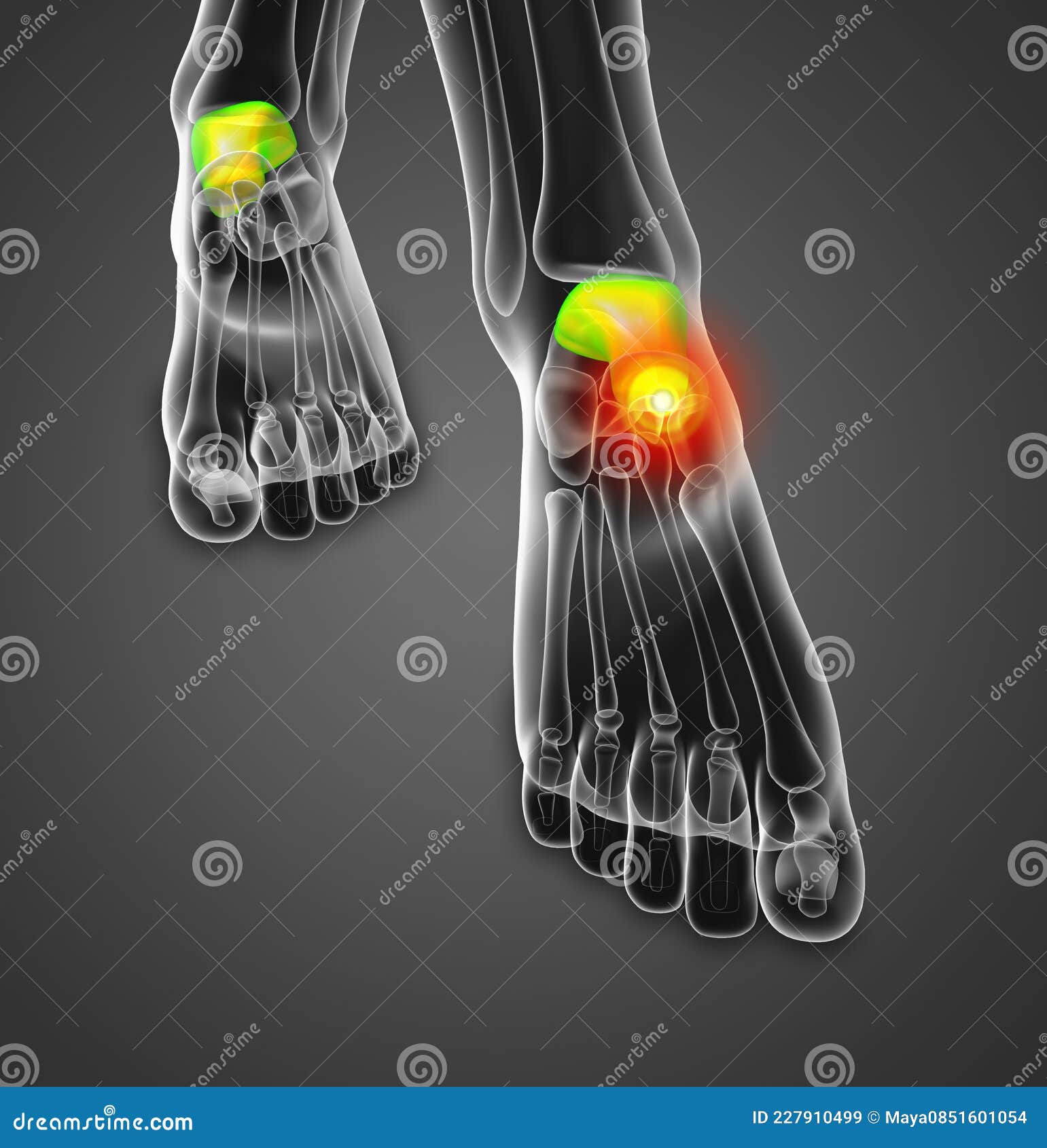 3d Render Illustration of the Talus Bone Stock Illustration