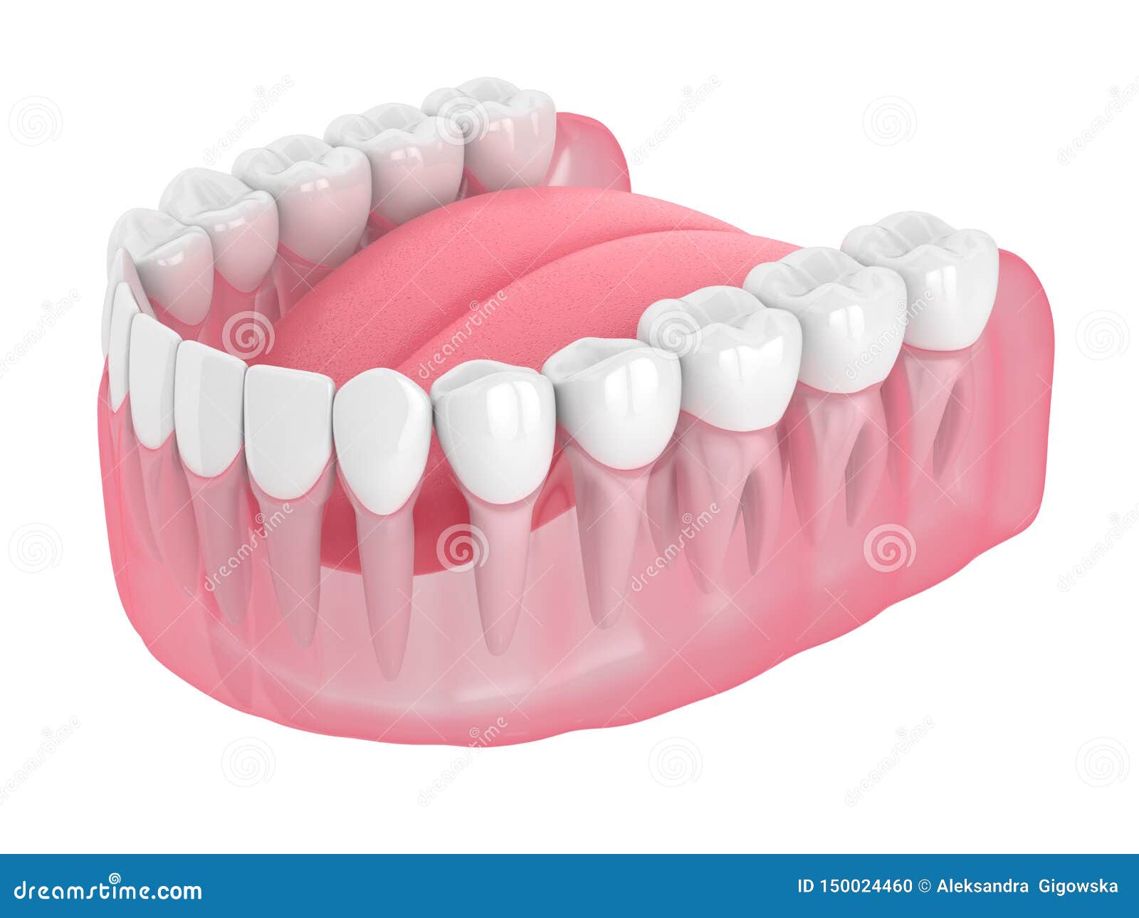 3d Render of Lower Jaw with Teeth Stock Illustration - Illustration of