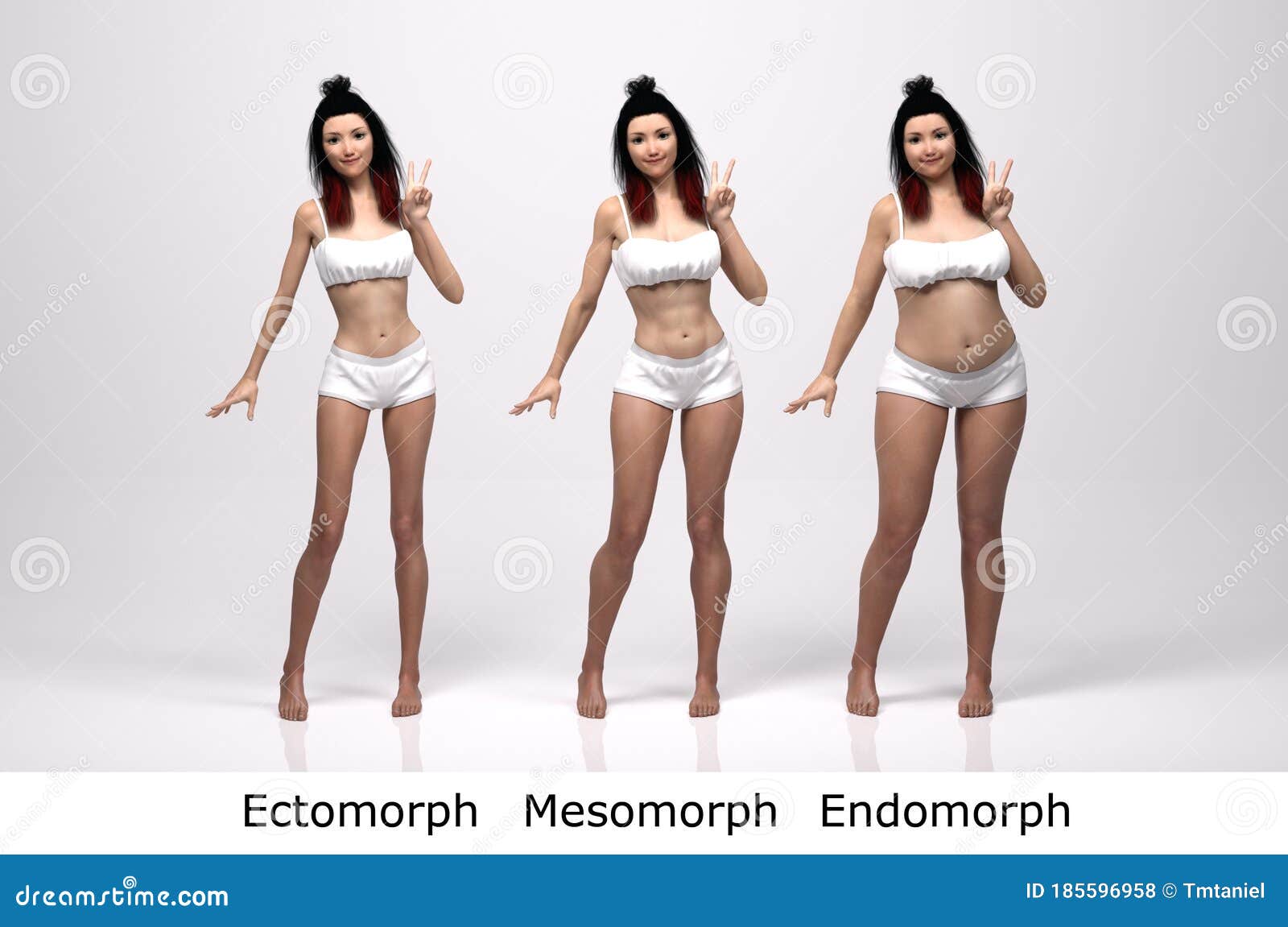 3D Render : the Portrait of Female Body Type : Ectomorph