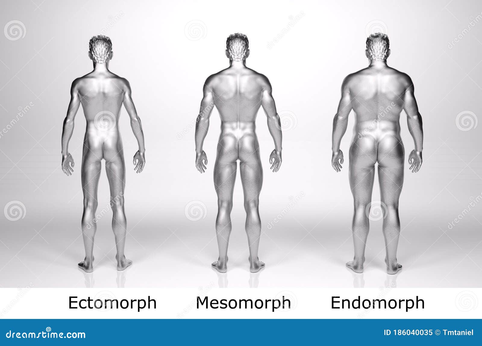 Tipos de cuerpos masculinos