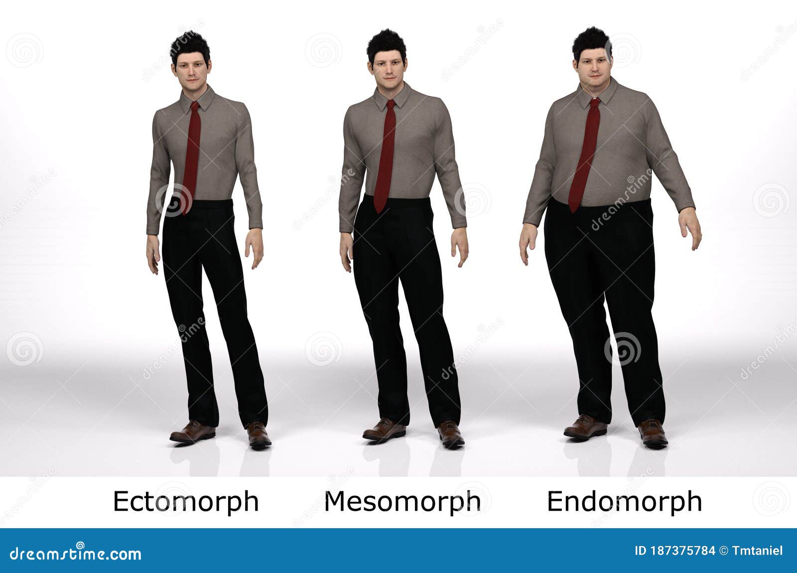 3D Render : Standing Male Body Type Ie. Skinny Type,muscular Type