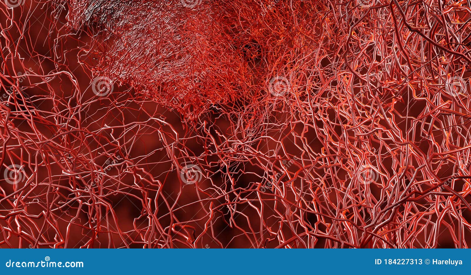 3D Render. System Many Small Capillaries Branch Out Of The Large Blood