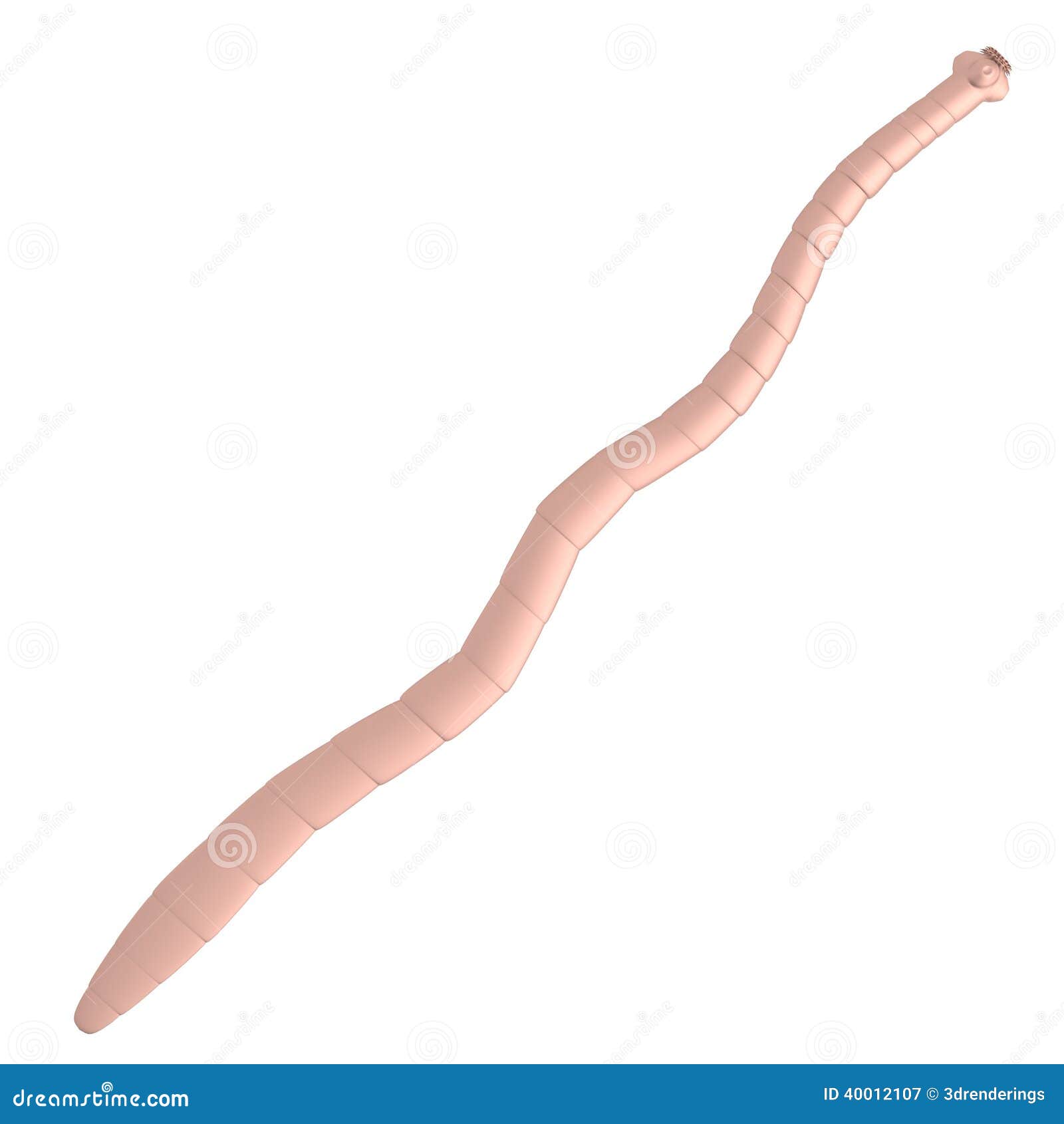 3d render of tapeworm stock illustration. Illustration of graphics