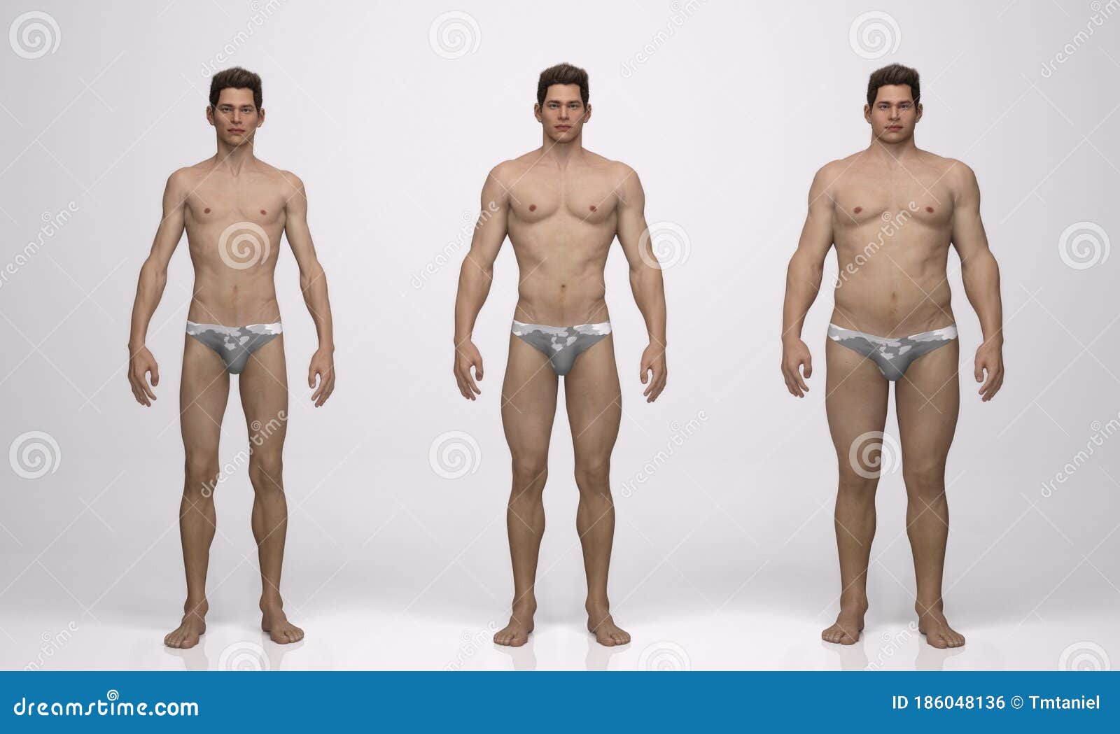 what-body-type-muscle-belly-tendon-length-ectomorph-mesomorph