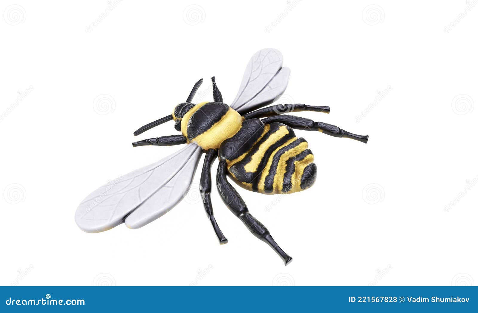 Honey Bee Apis Mellifera, Internal Anatomy And Physiology. Bee